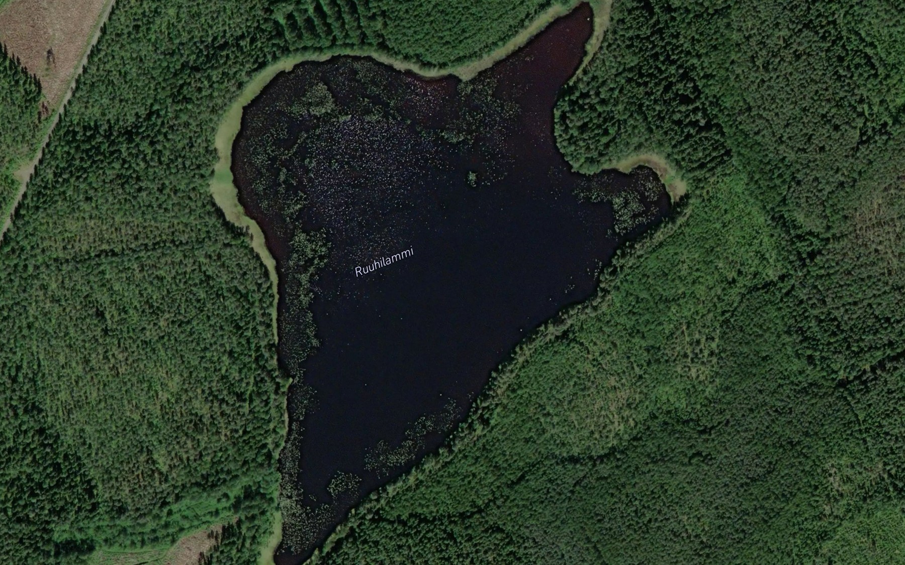 Satellite map of the Ruuhilammi