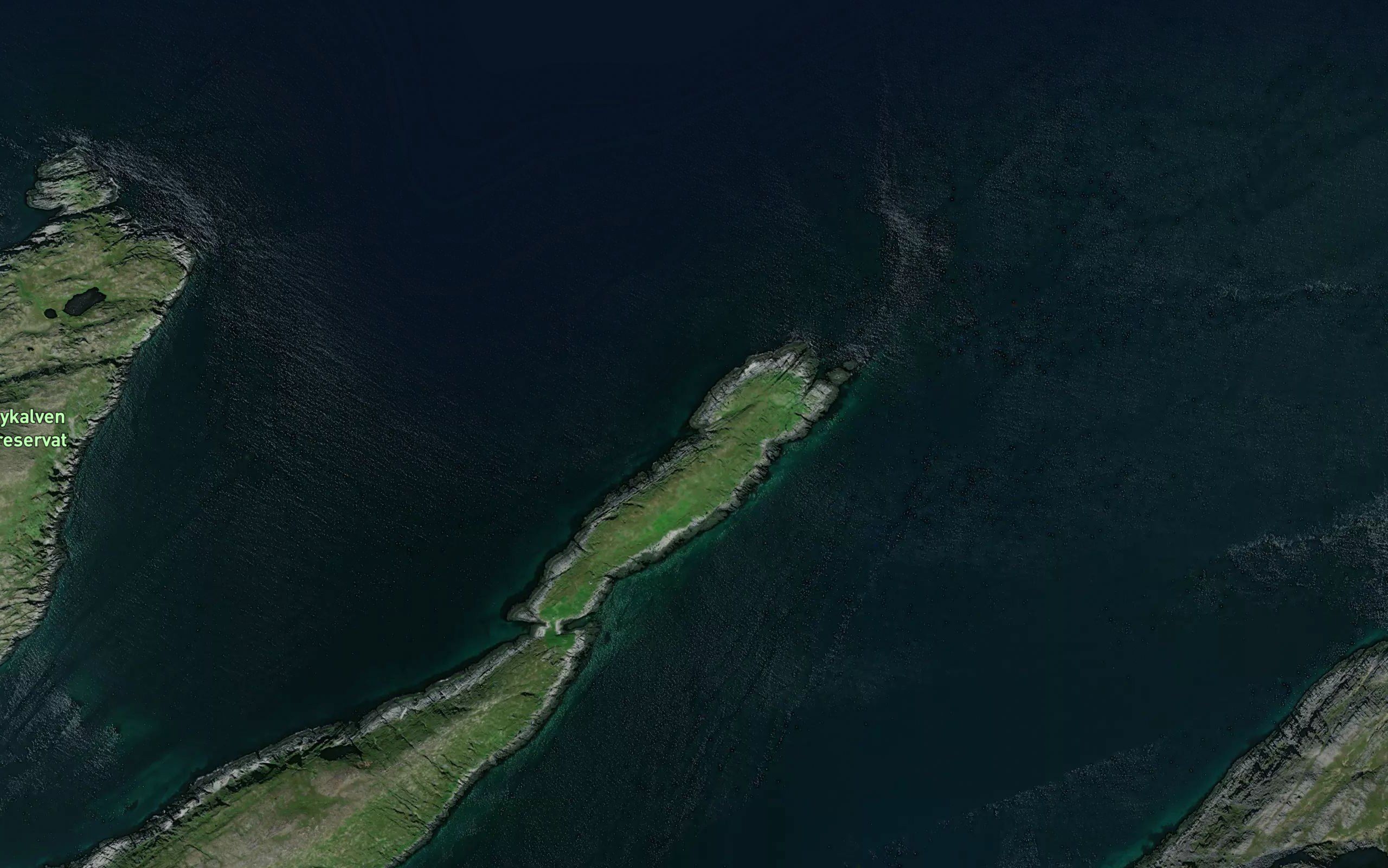 Jensvalen