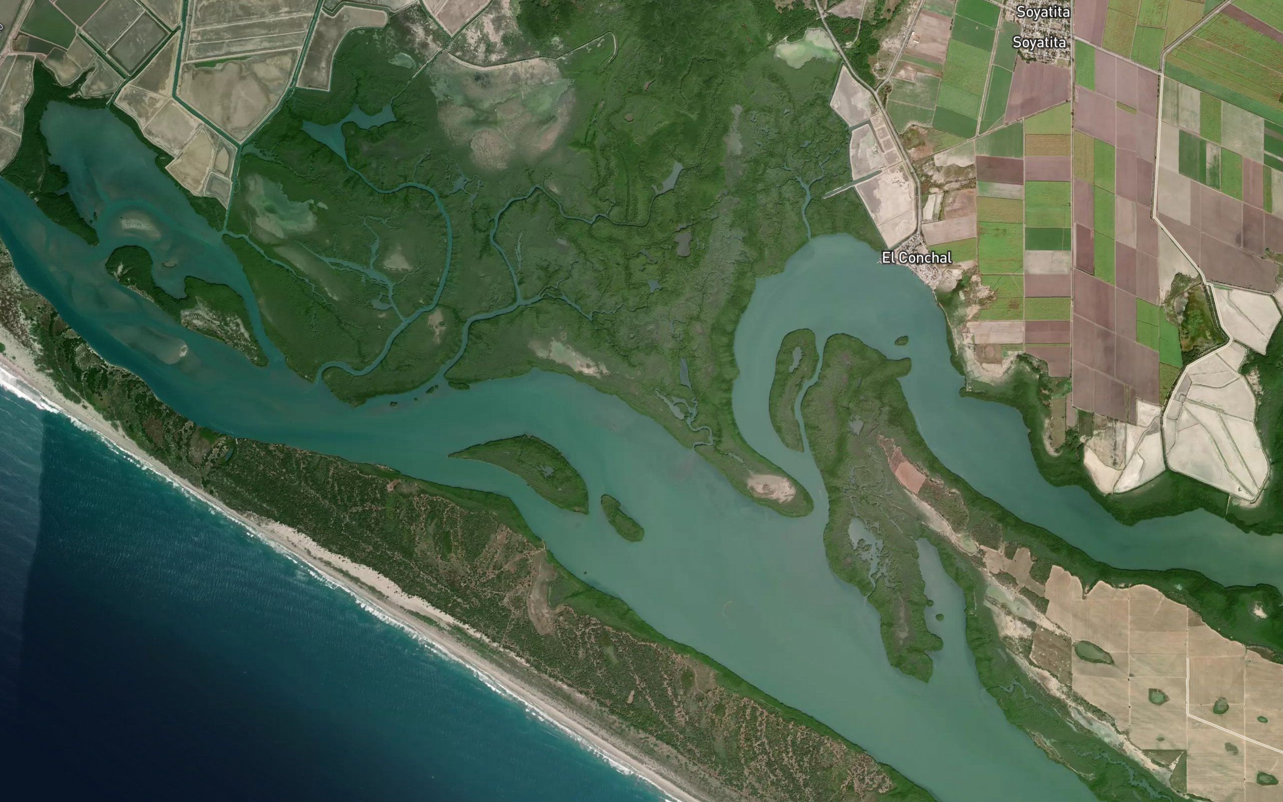 Estero Macho