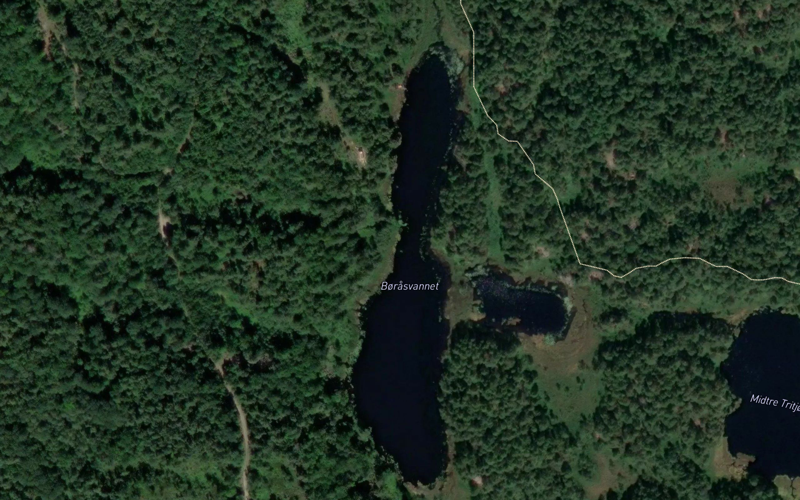 Borasvatna