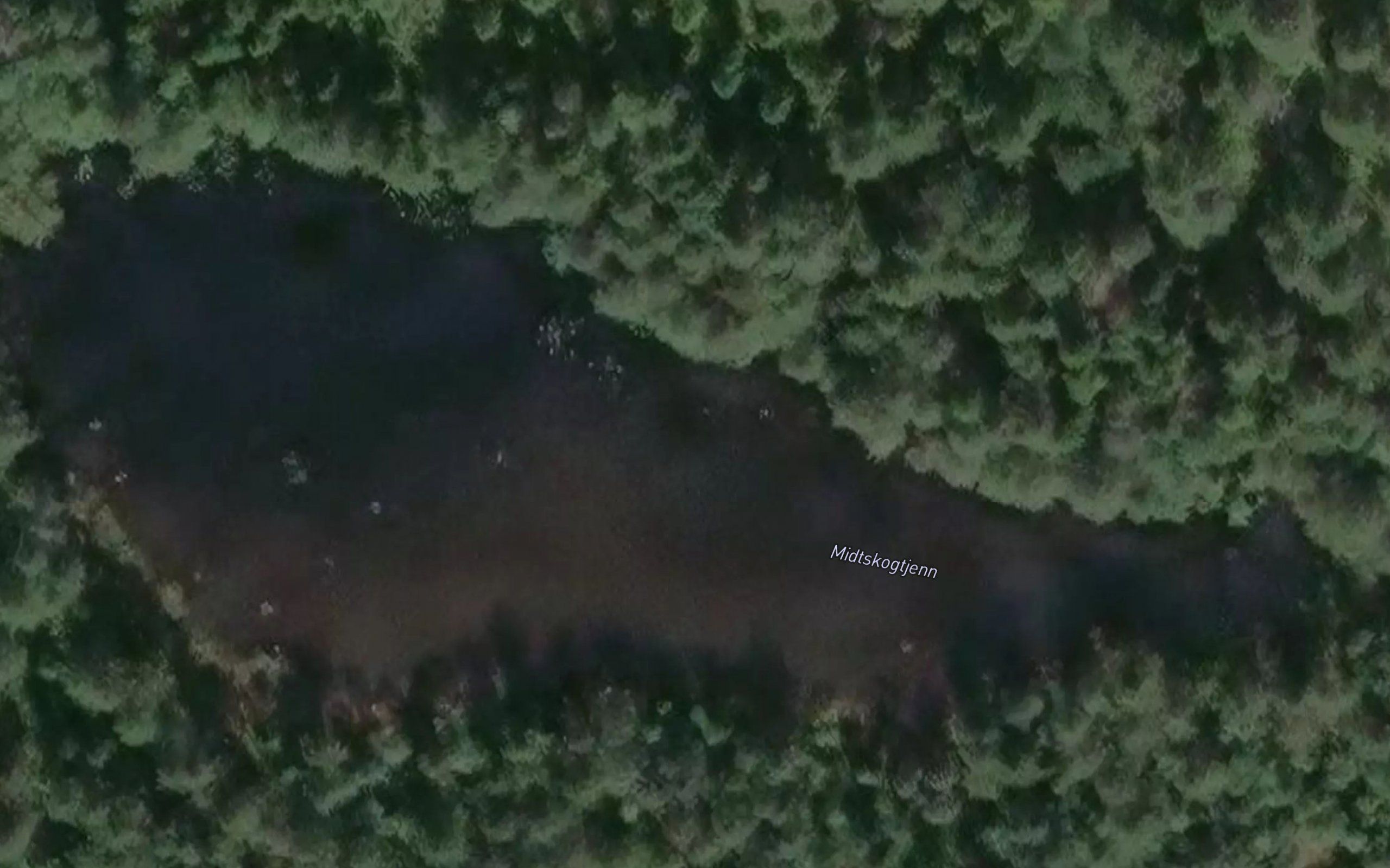 Midtskogtjern