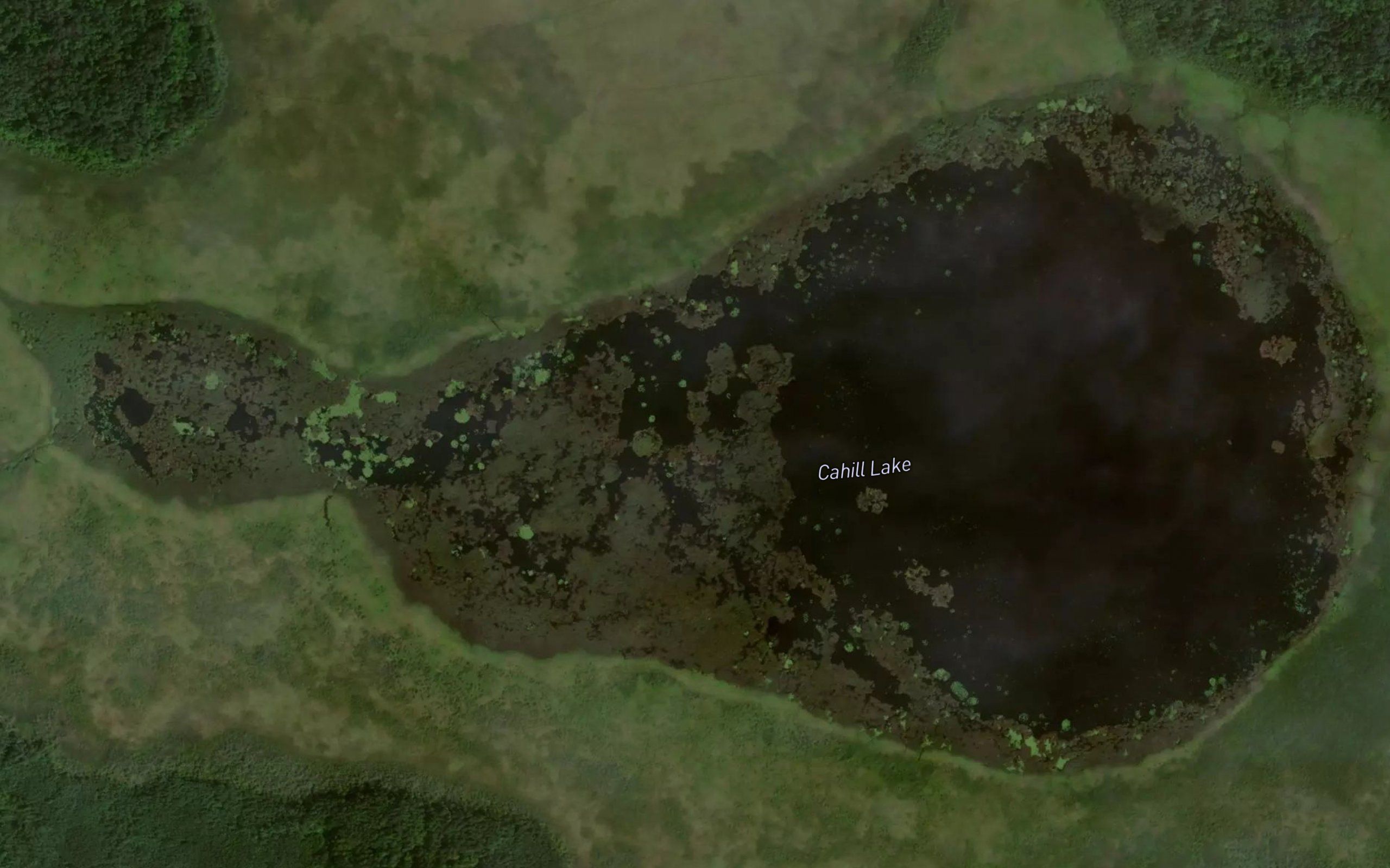 Cahill Lake