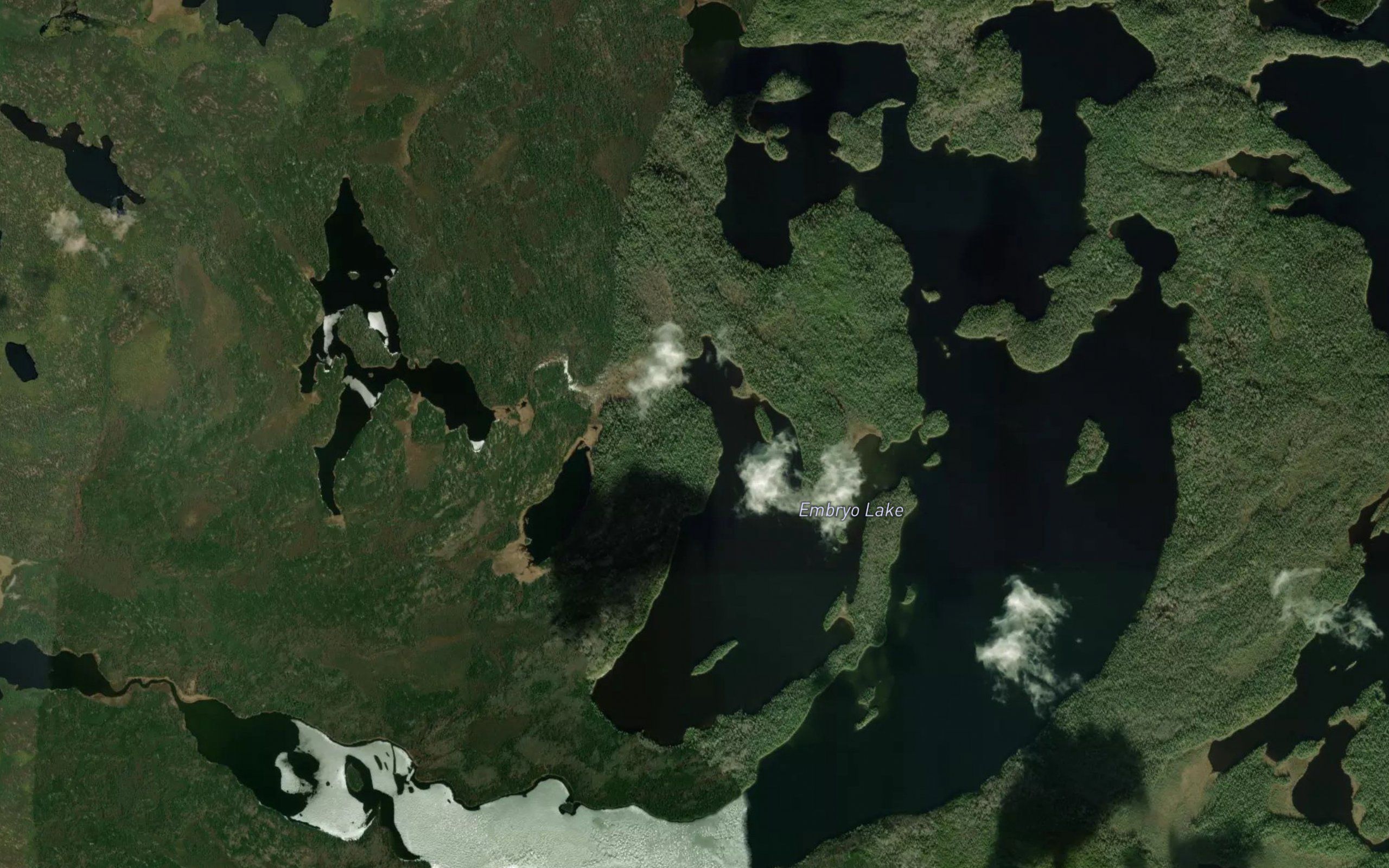 Embryo Lake