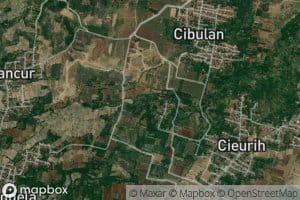 Ci Biuk