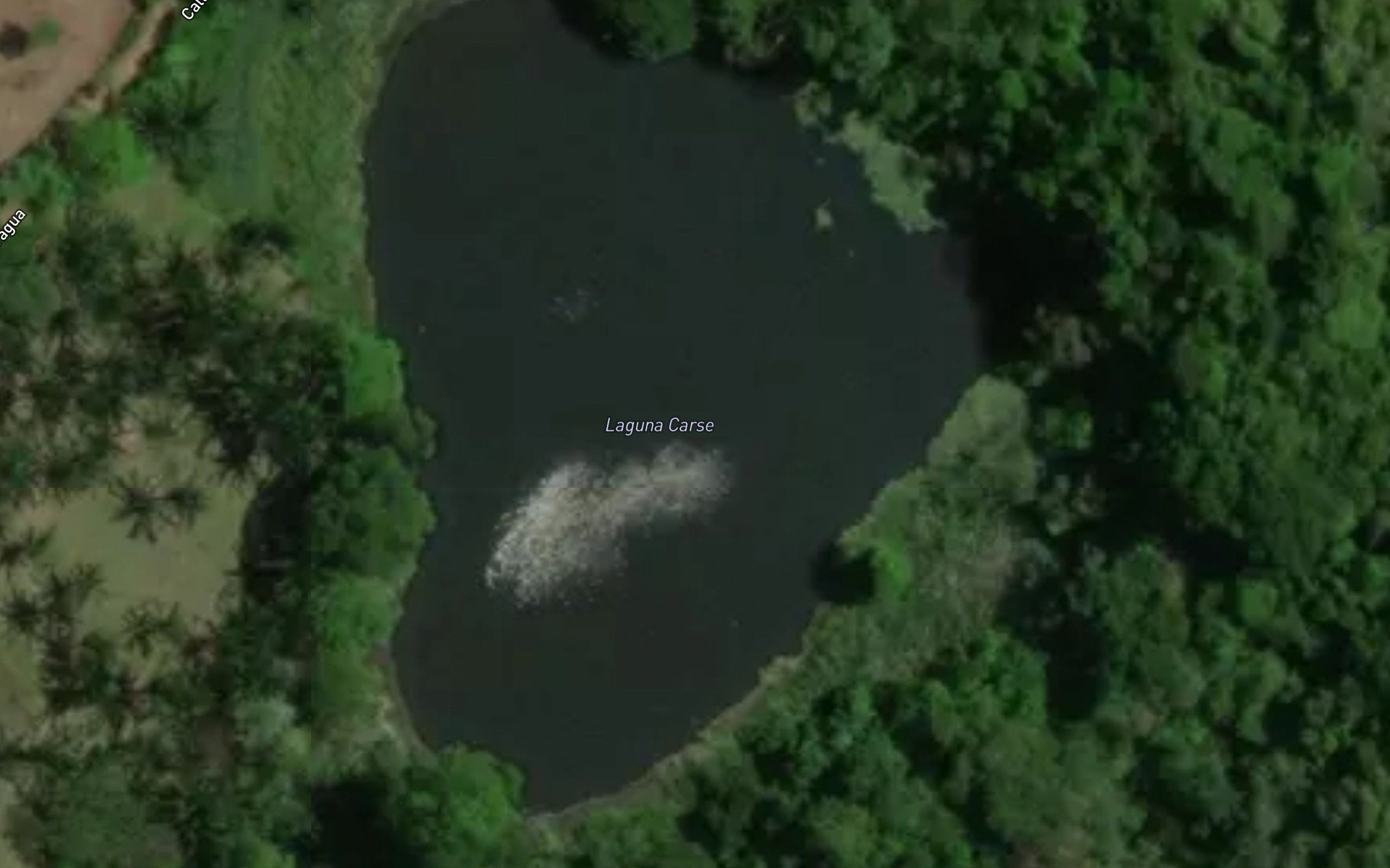 Laguna Carse