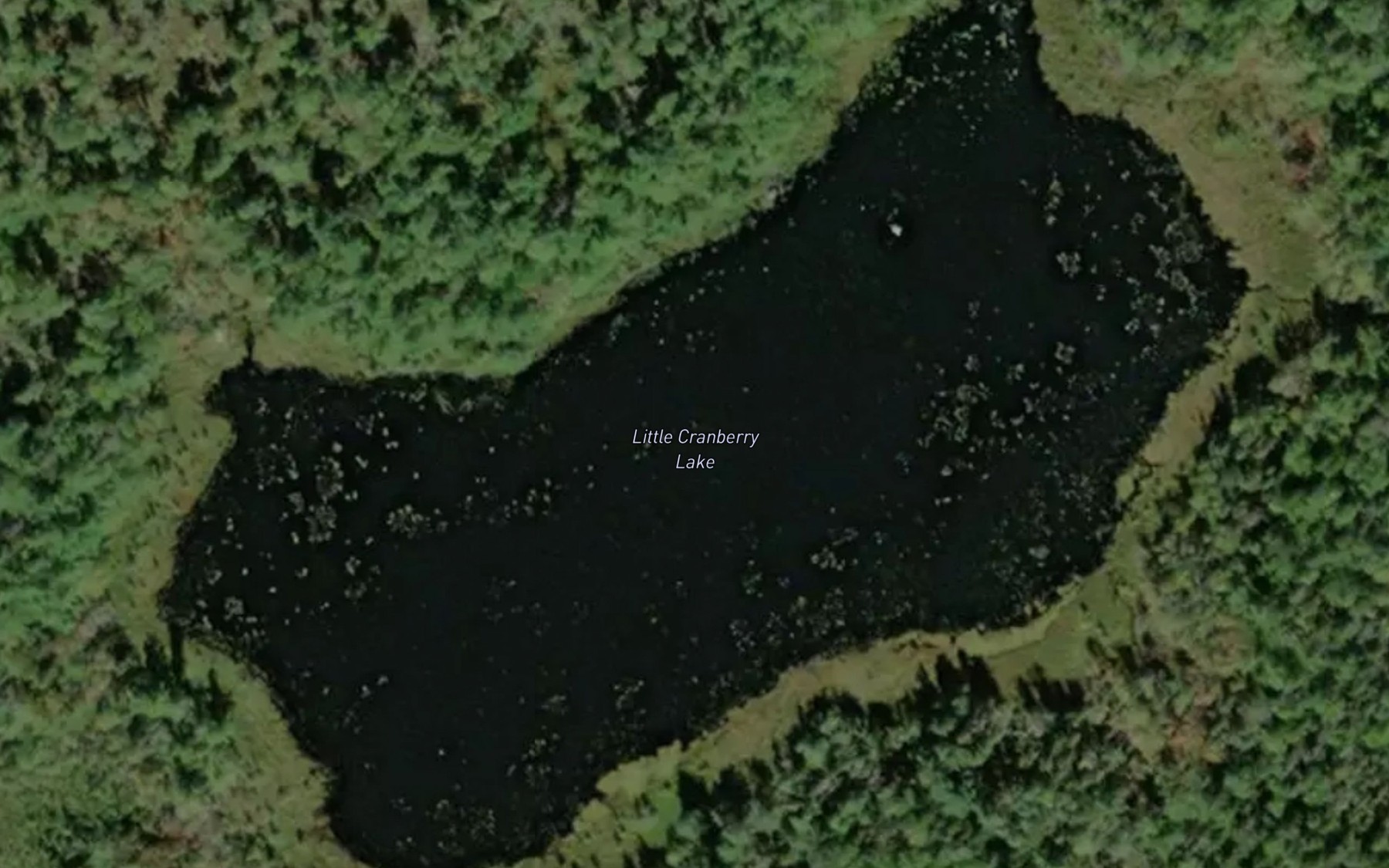 Satellite map of the Little Cranberry Lake