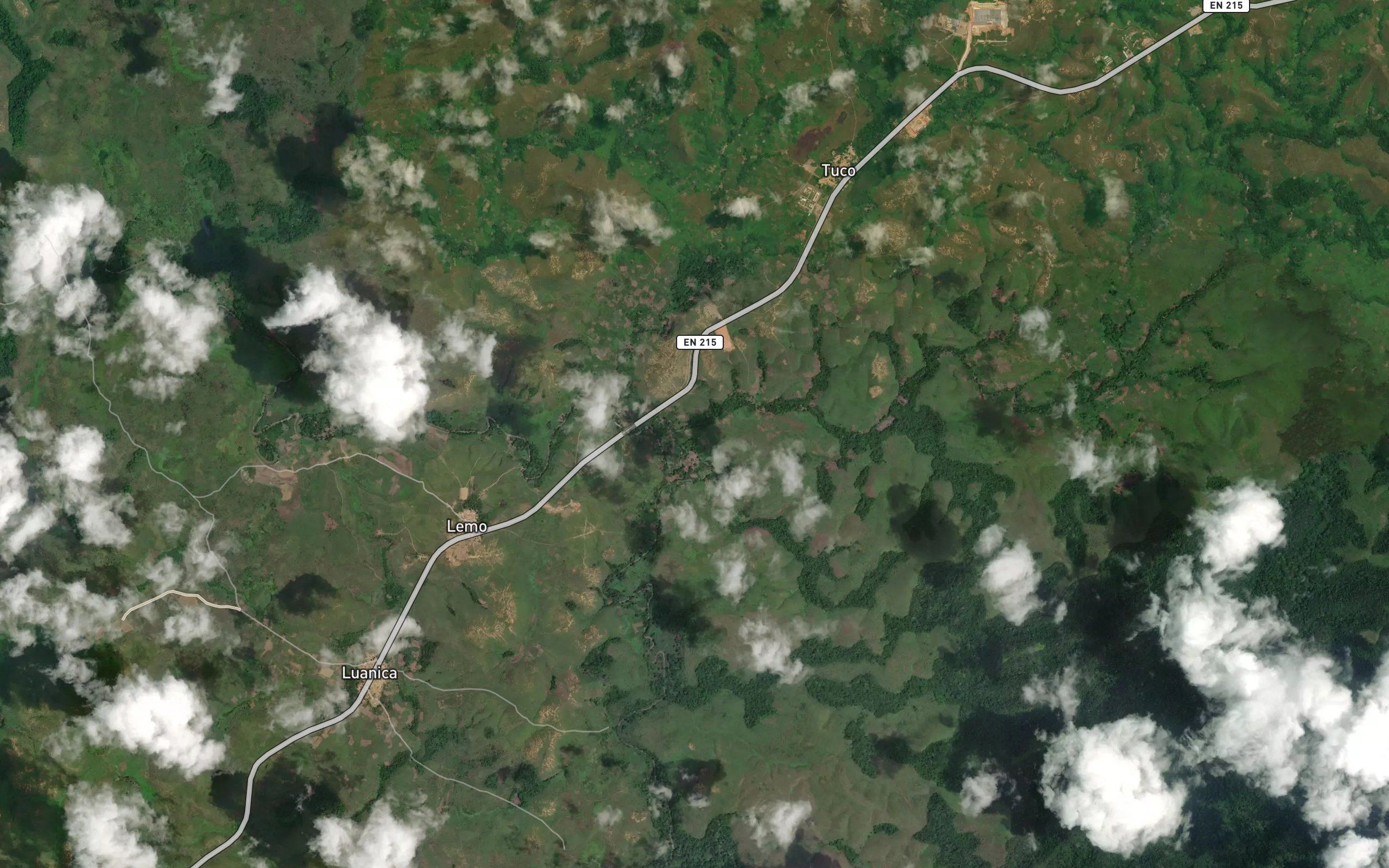 Luegi
