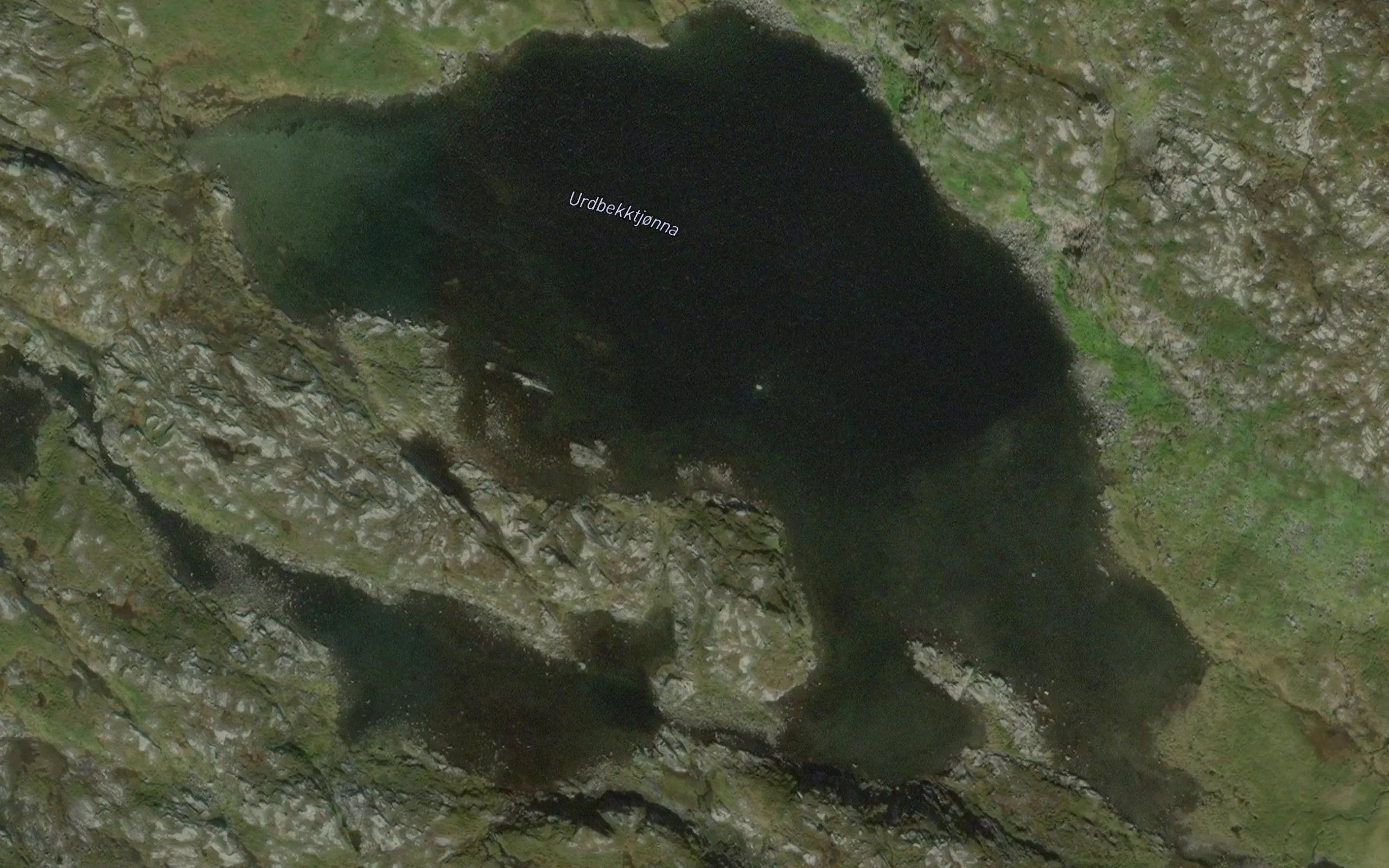 Urdbekktjorna