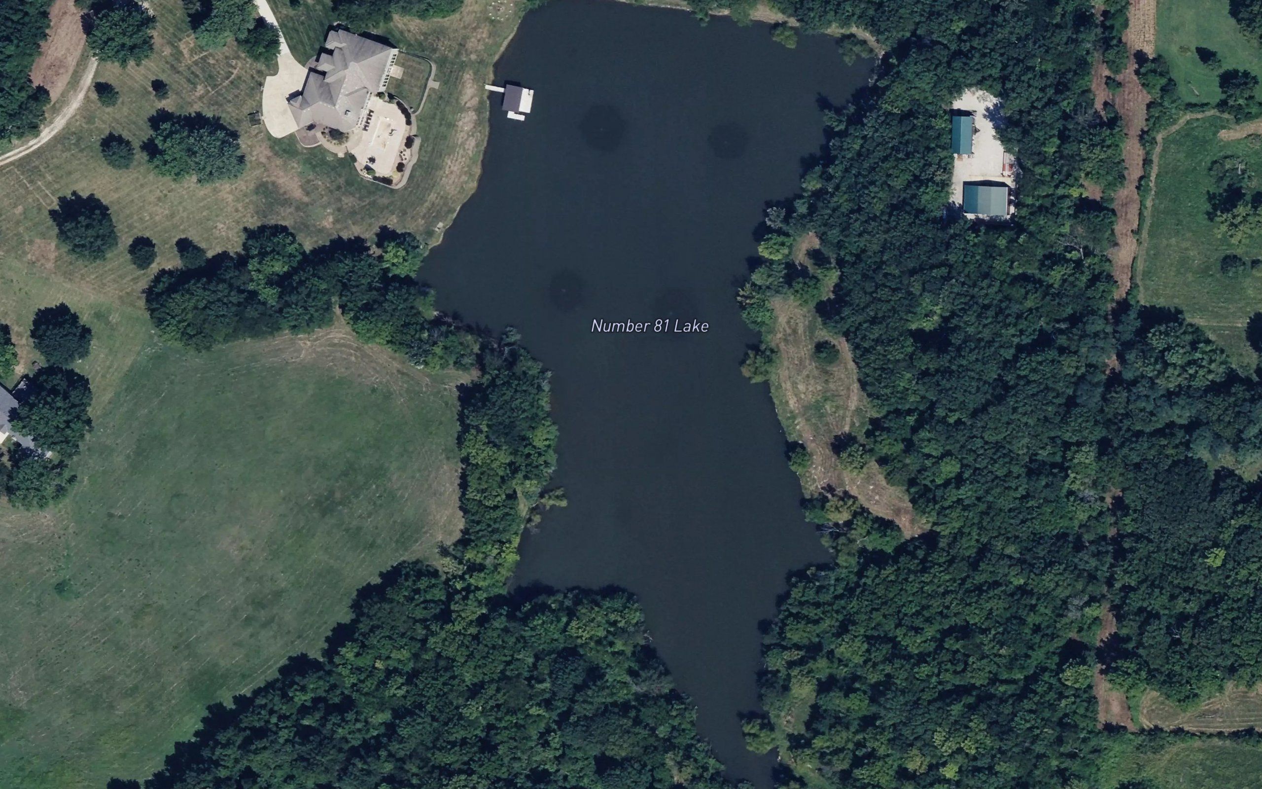Number 81 Lake