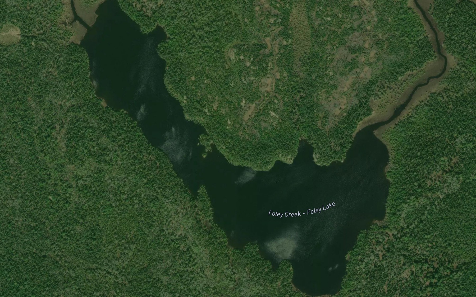 Satellite map of the Foley Lake