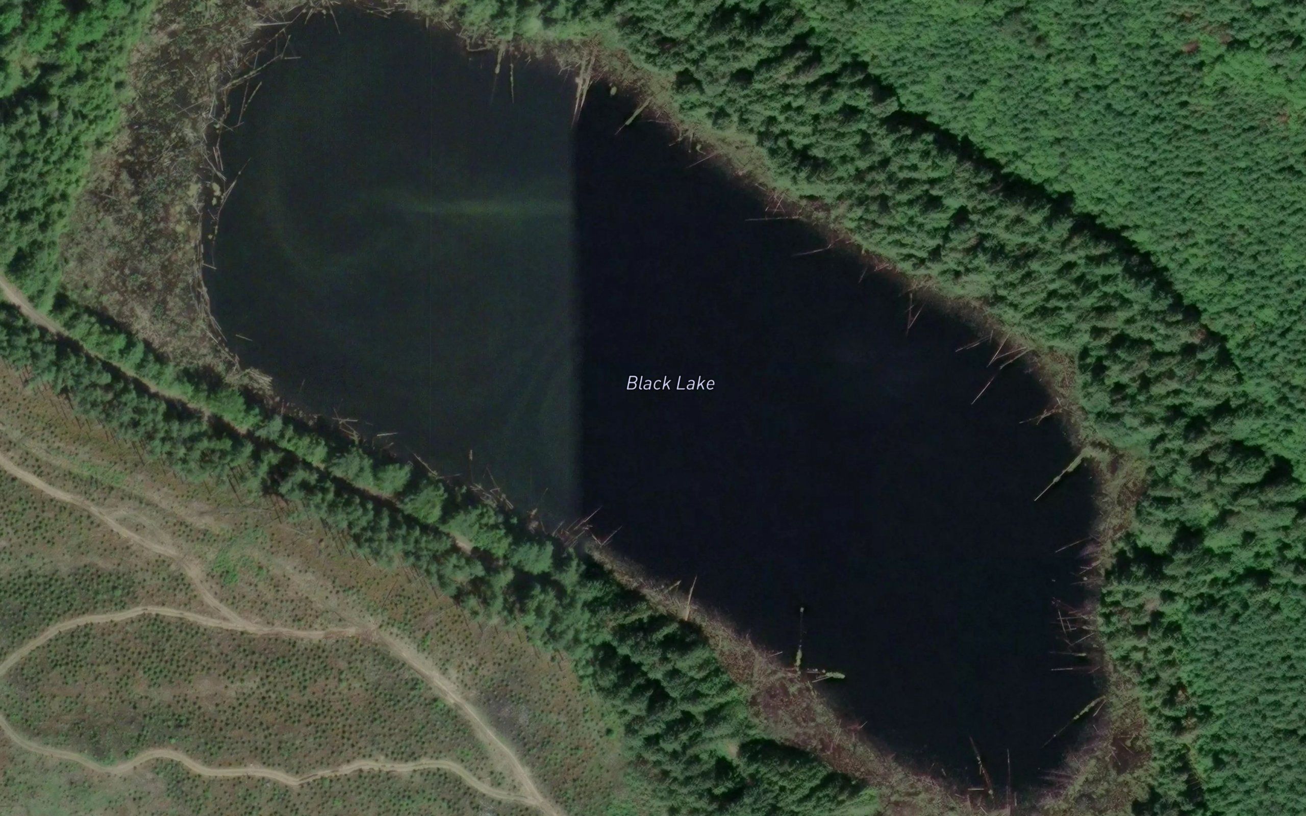 Black Lake