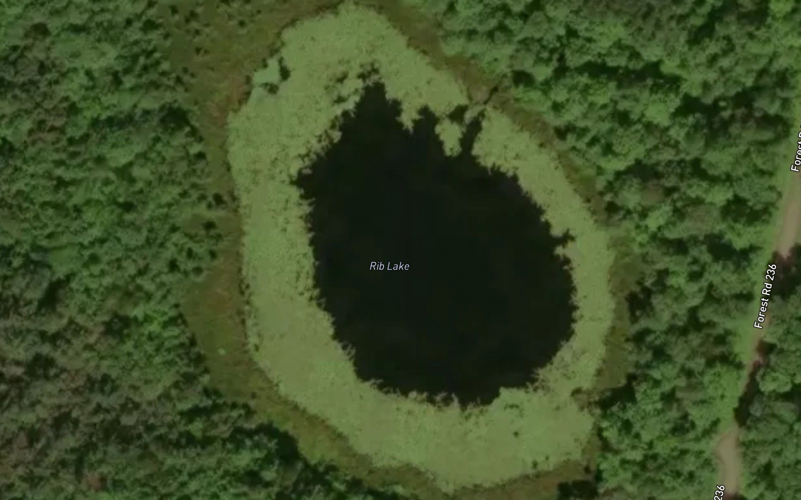 Rib Lake