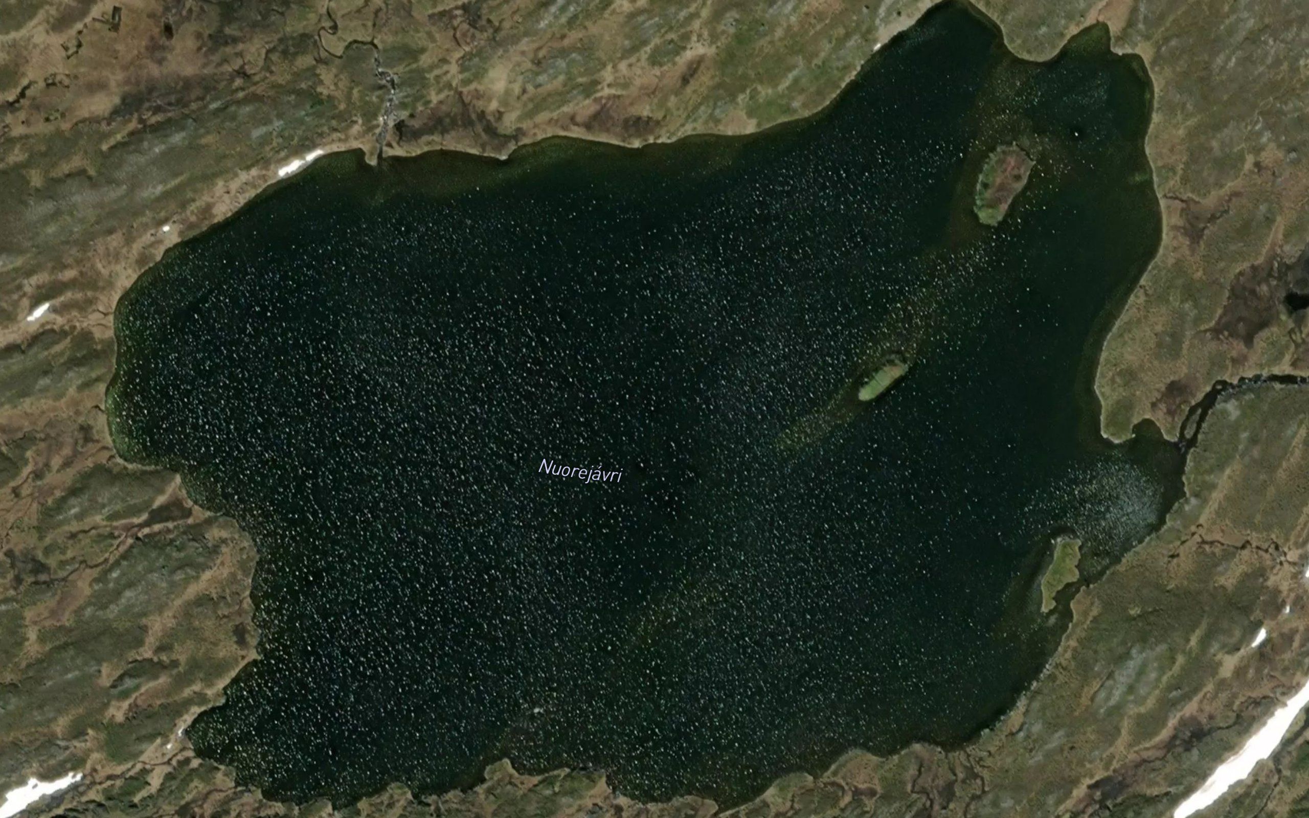 Nuorijavri