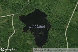 Lint Lake