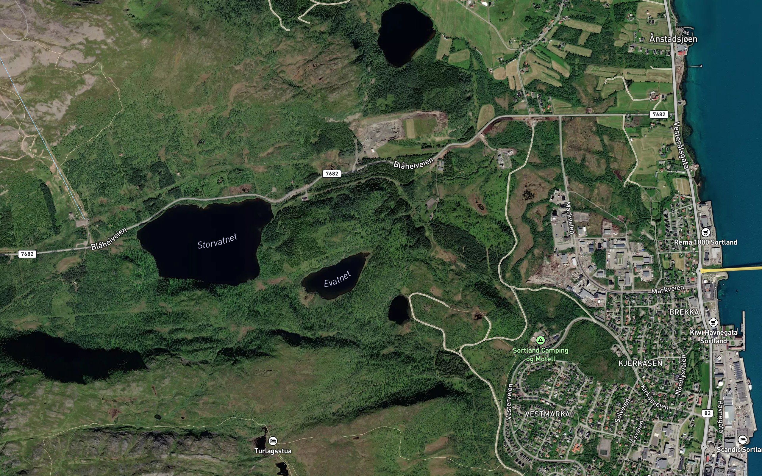 Evasselva
