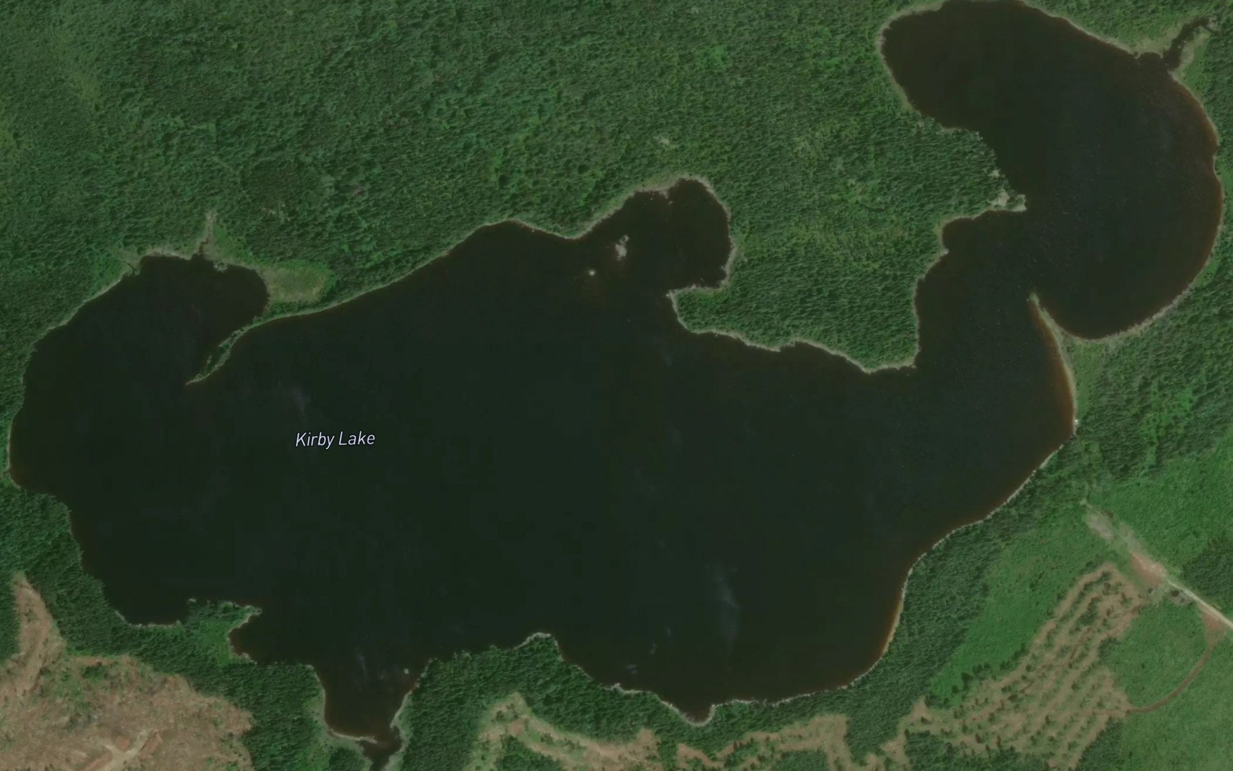 Satellite map of the Kirby Lake