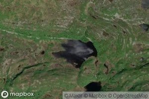 Bardlitjorna