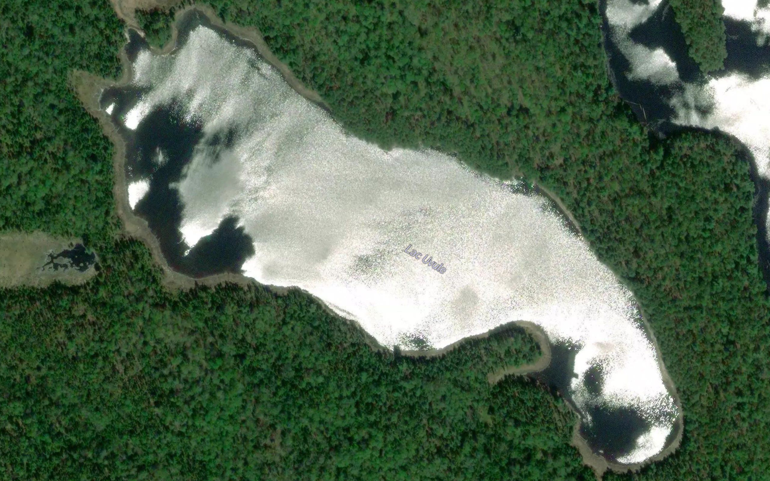 Lac Uvule
