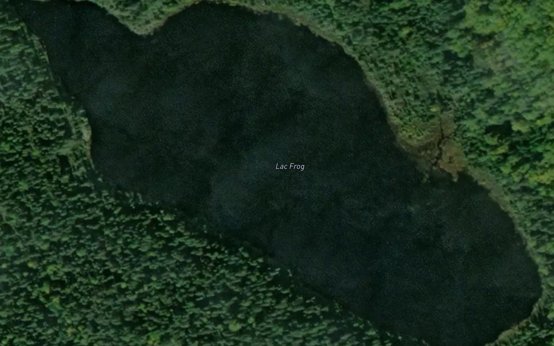 Satellite map of the Lac Frog