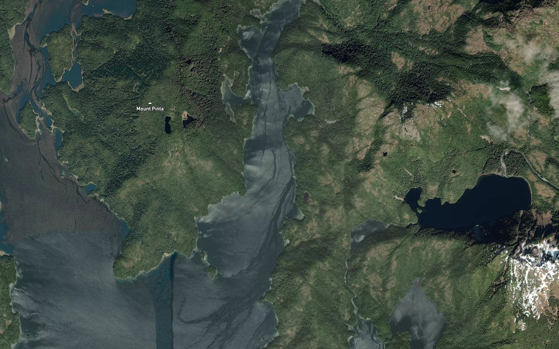 Satellite map of the Pinta Bay