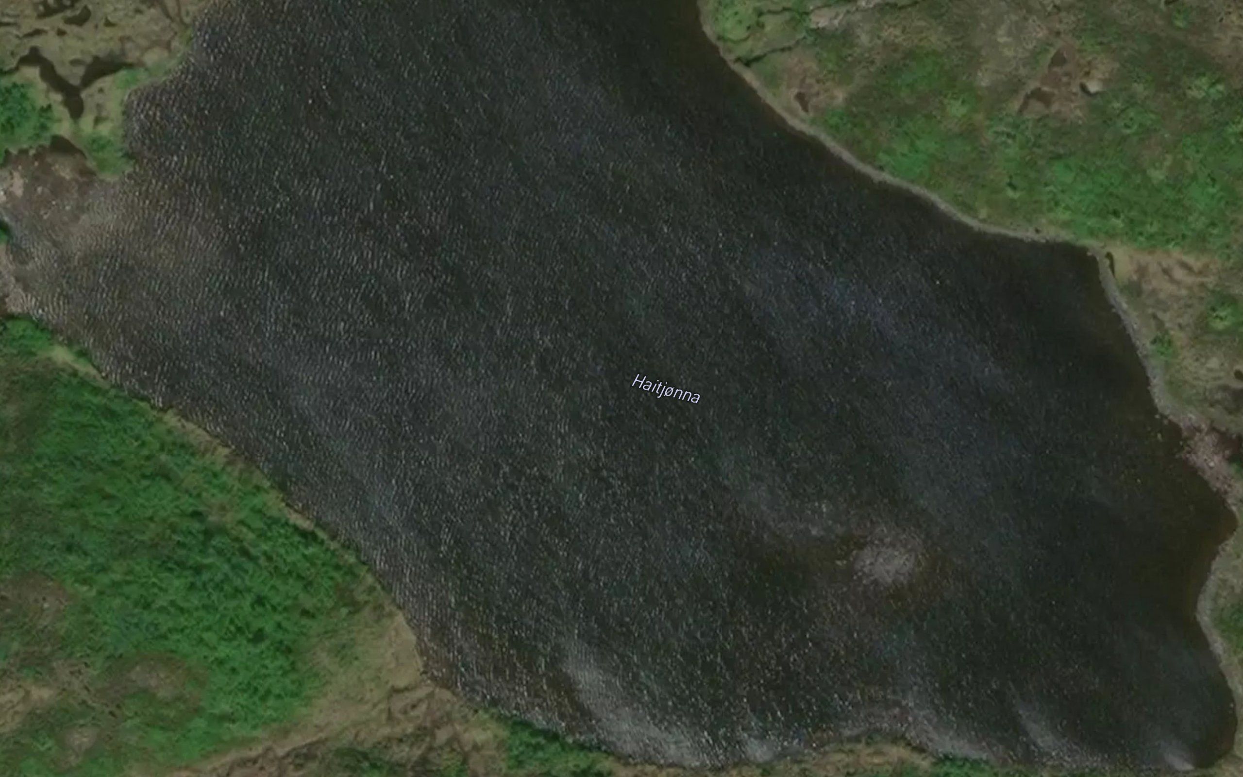 Haitjorna
