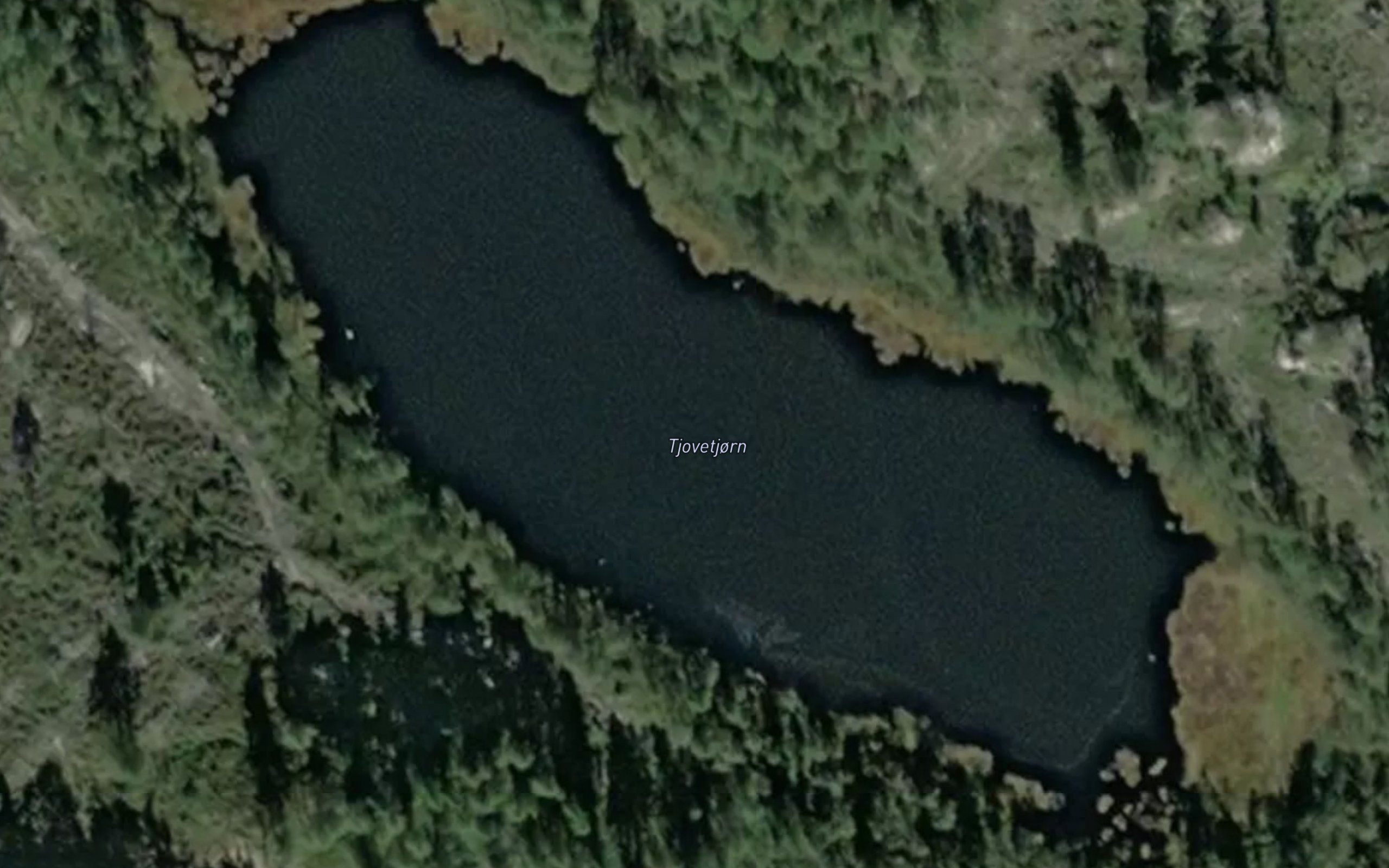Tjovetjorn