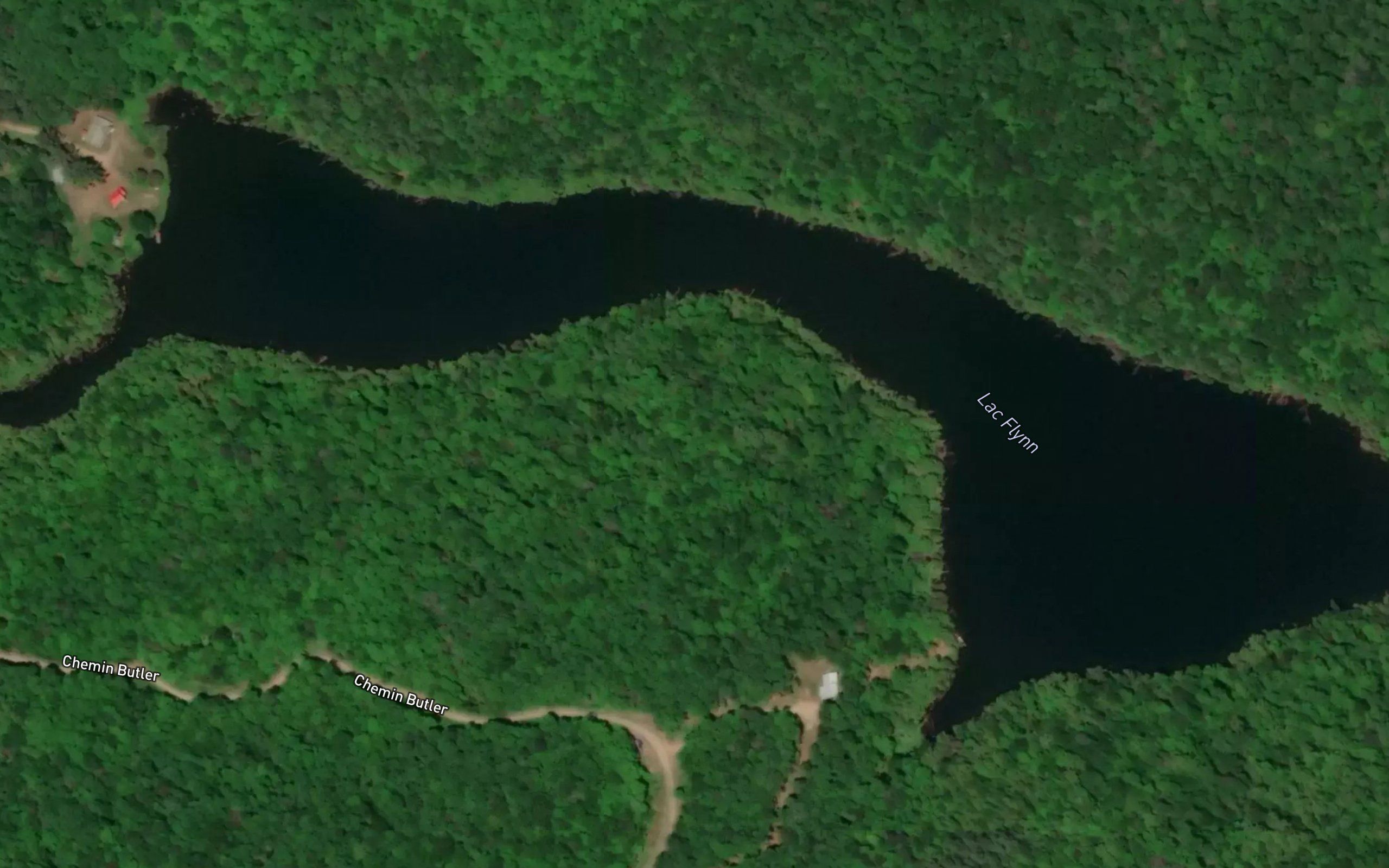 Lac Flynn