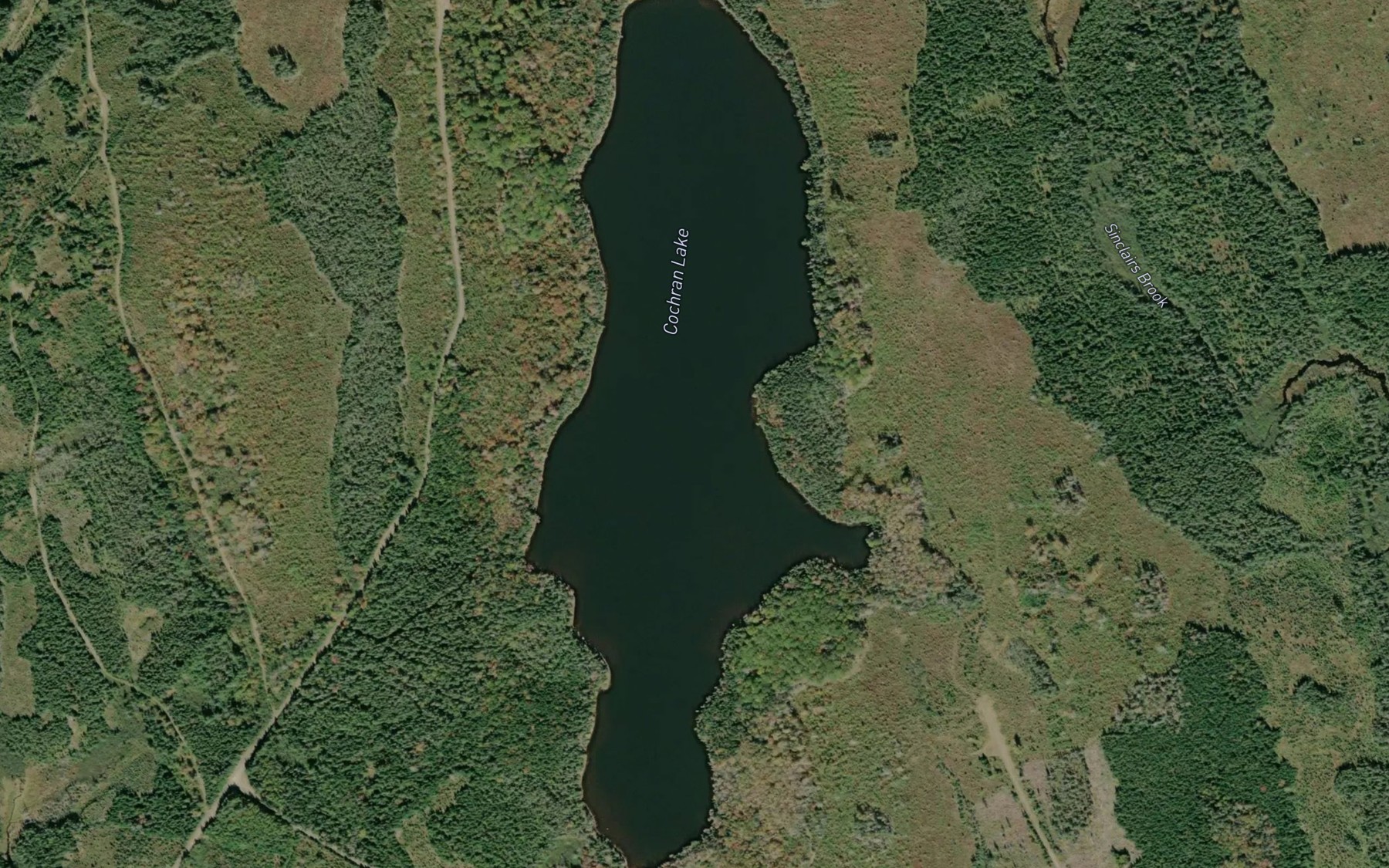 Satellite map of the Cochran Lake