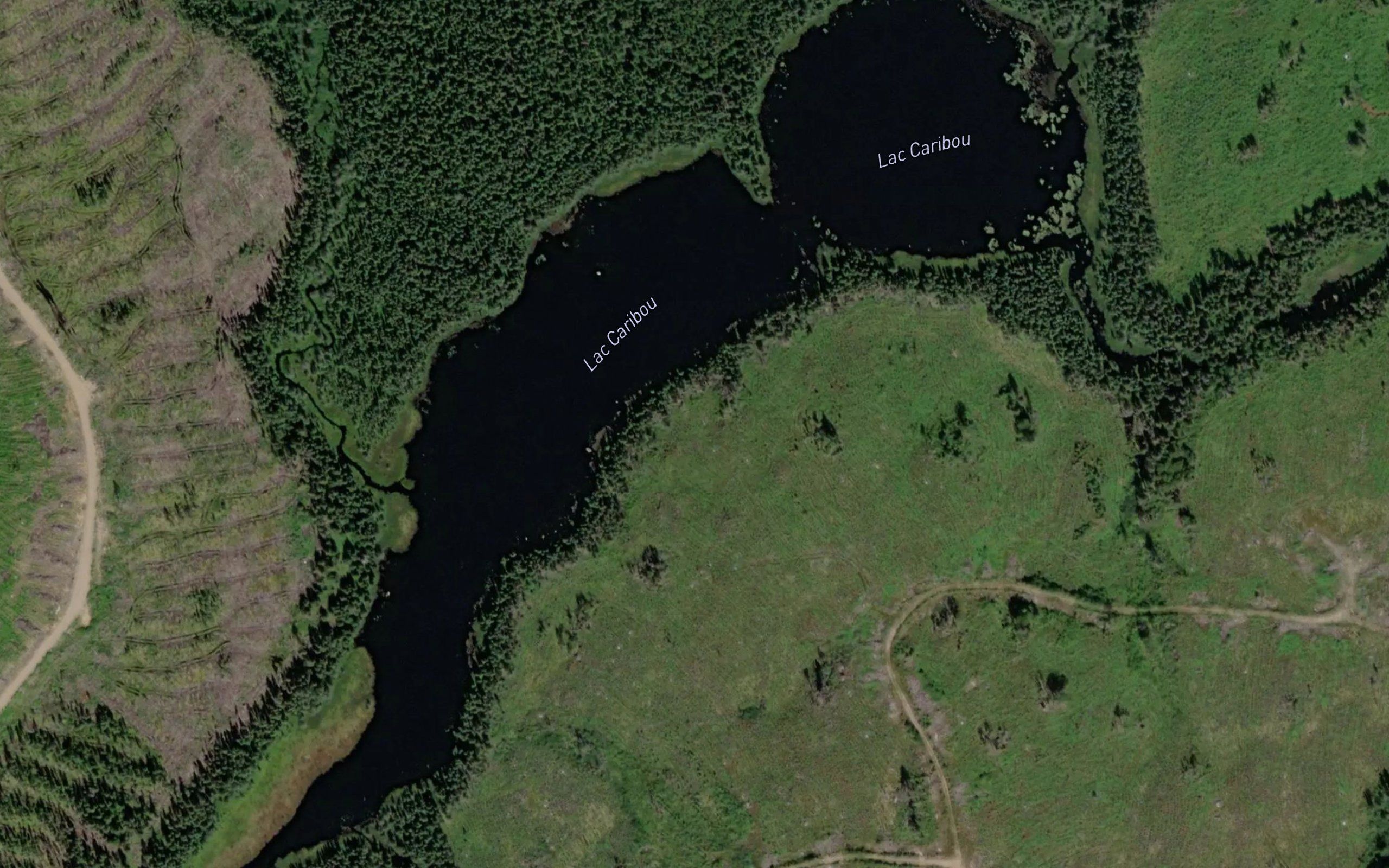Lac Caribou
