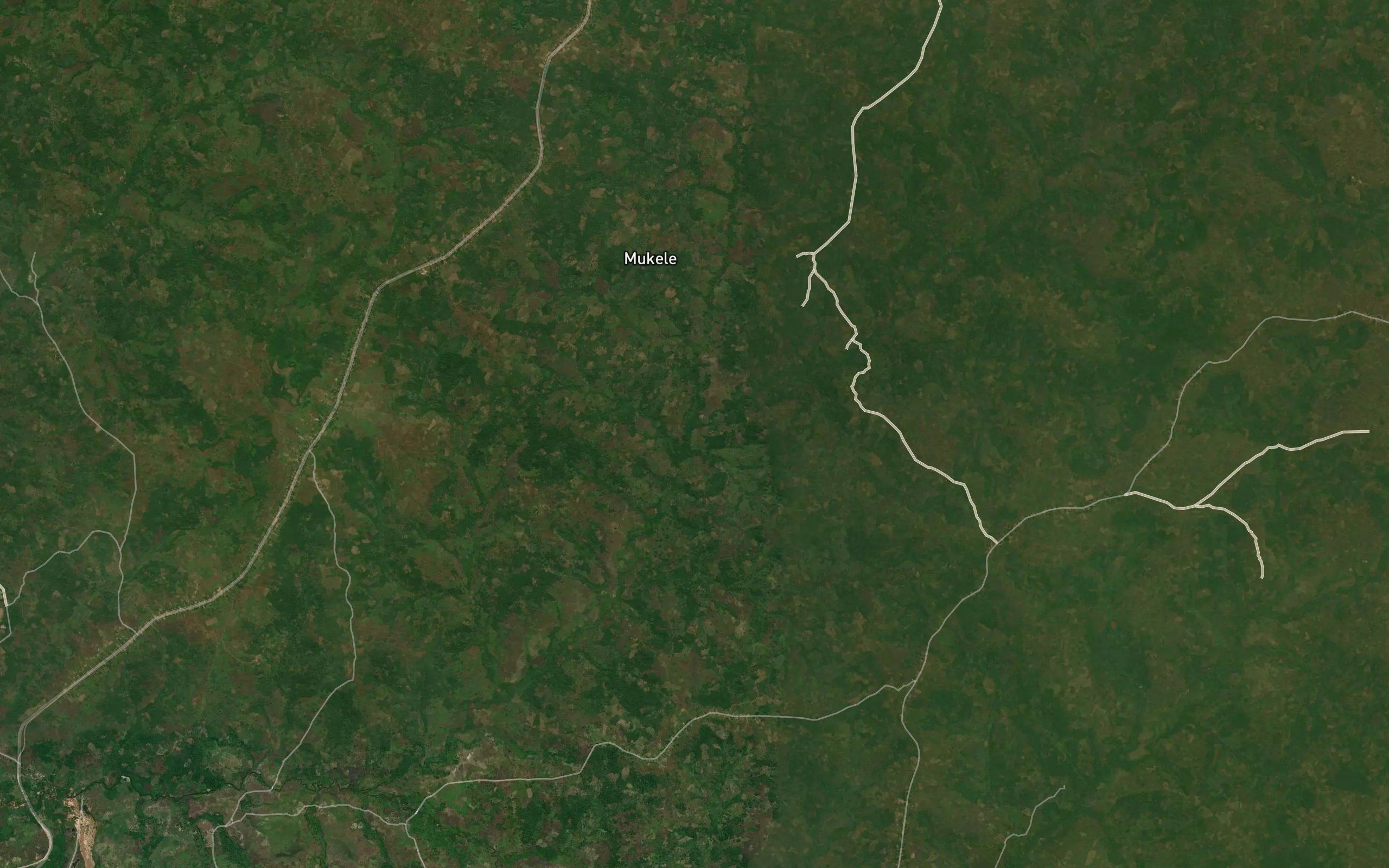 Tshikunda
