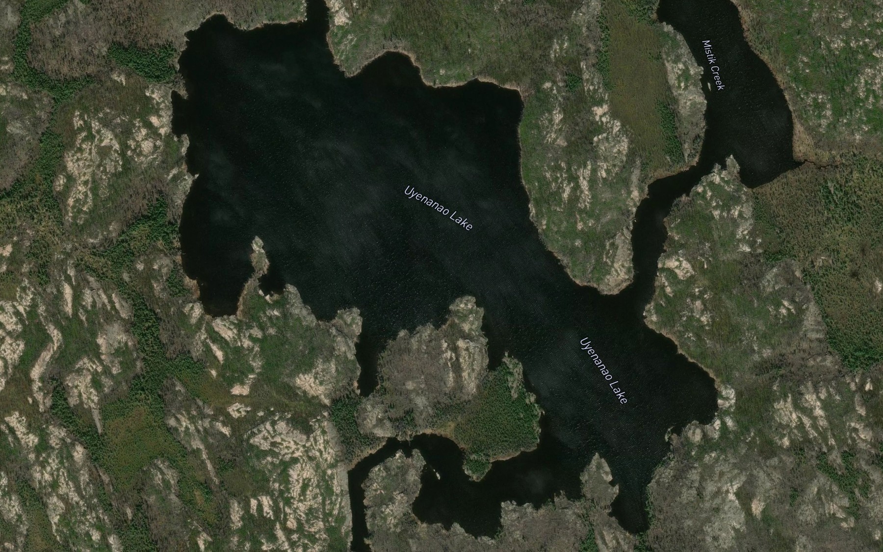 Satellite map of the Uyenanao Lake
