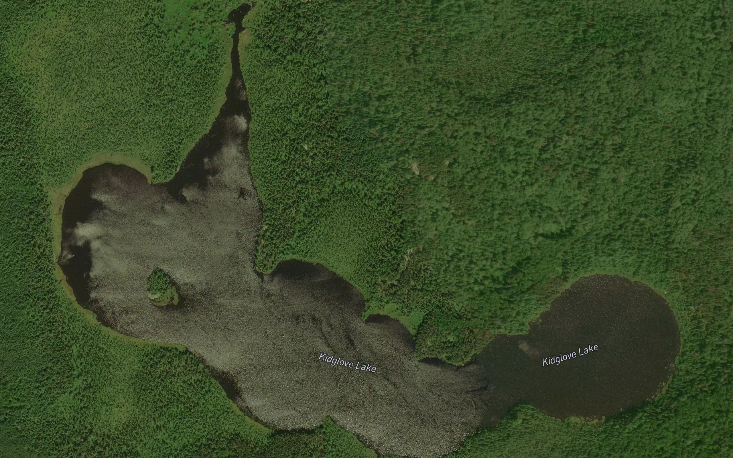 Kidglove Lake