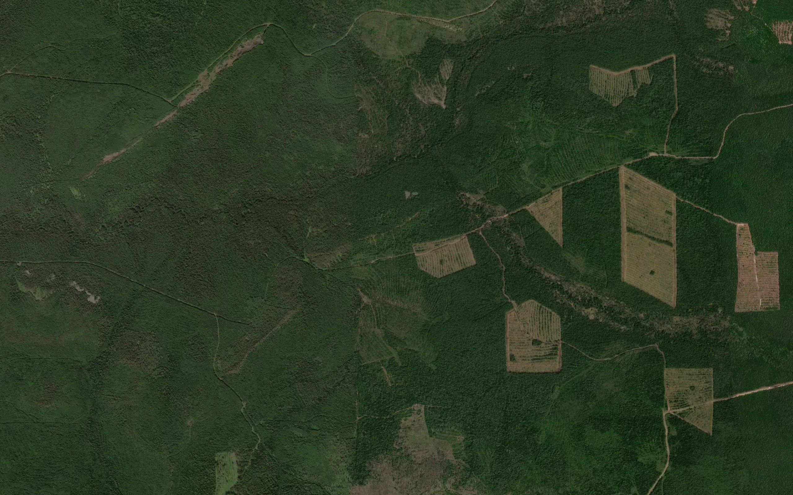 Khaikta