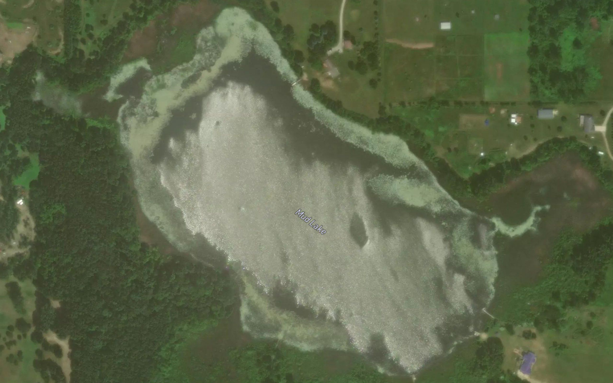 Mud Lake