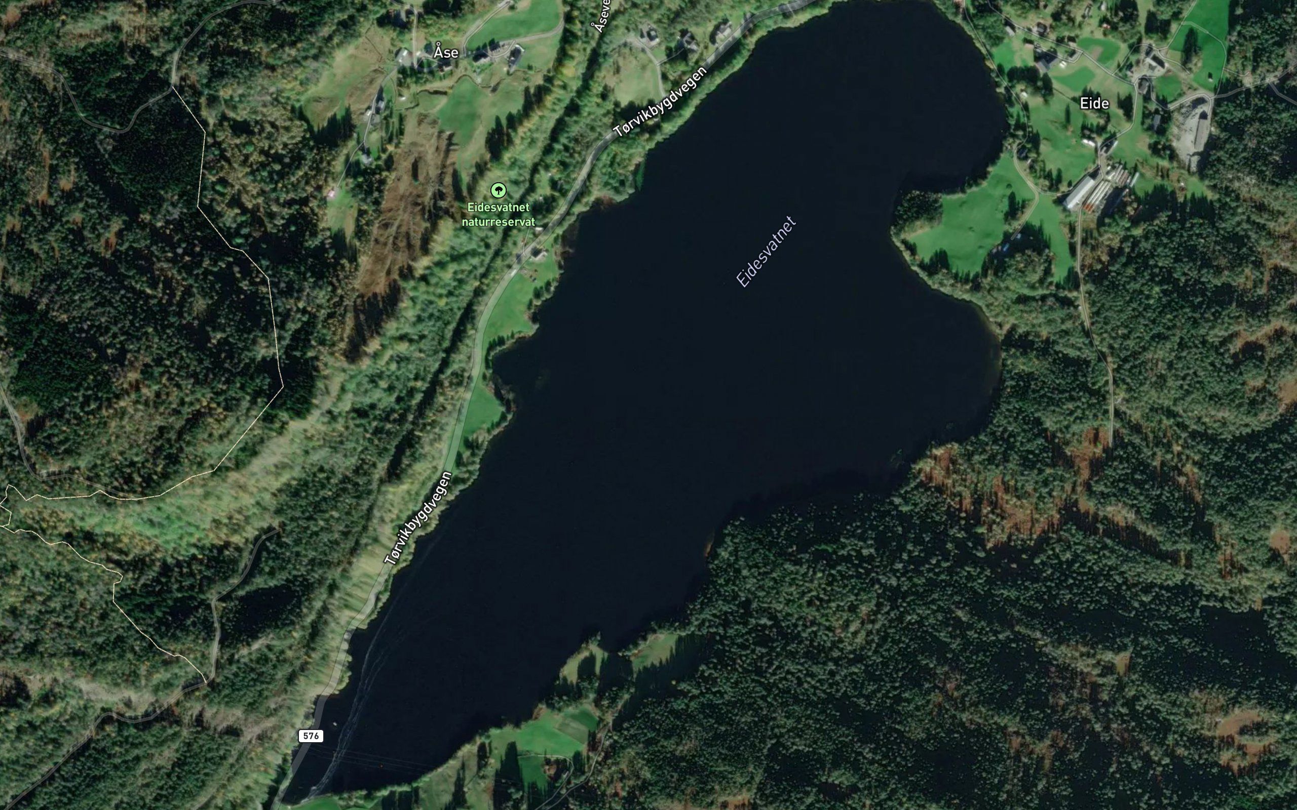 Eidesvatnet