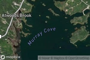 Murray Cove