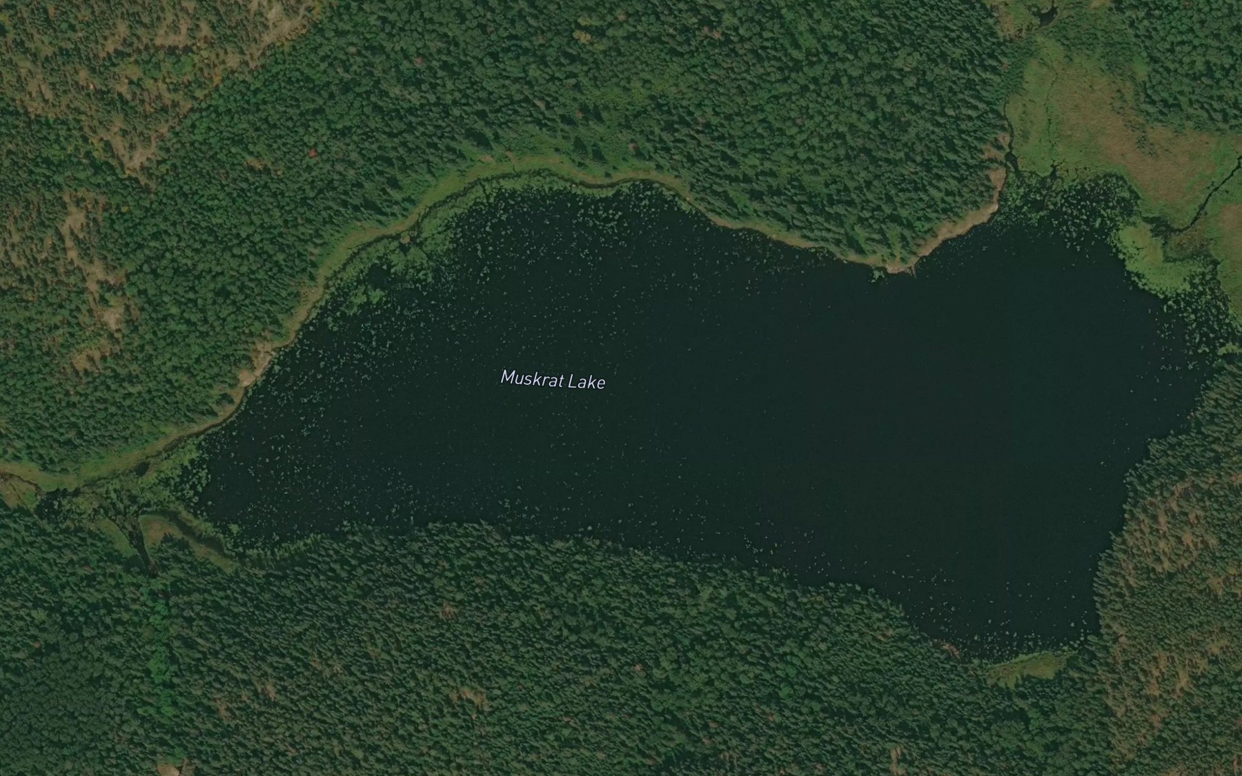 Satellite map of the Muskrat Lake