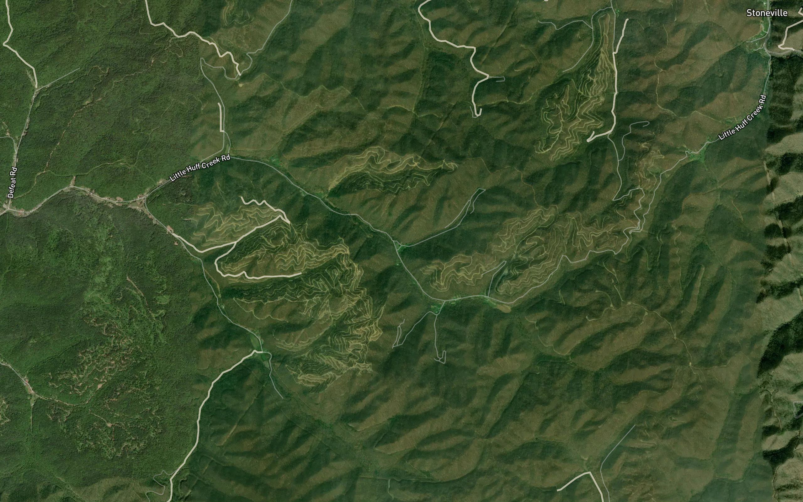 Taylor Branch