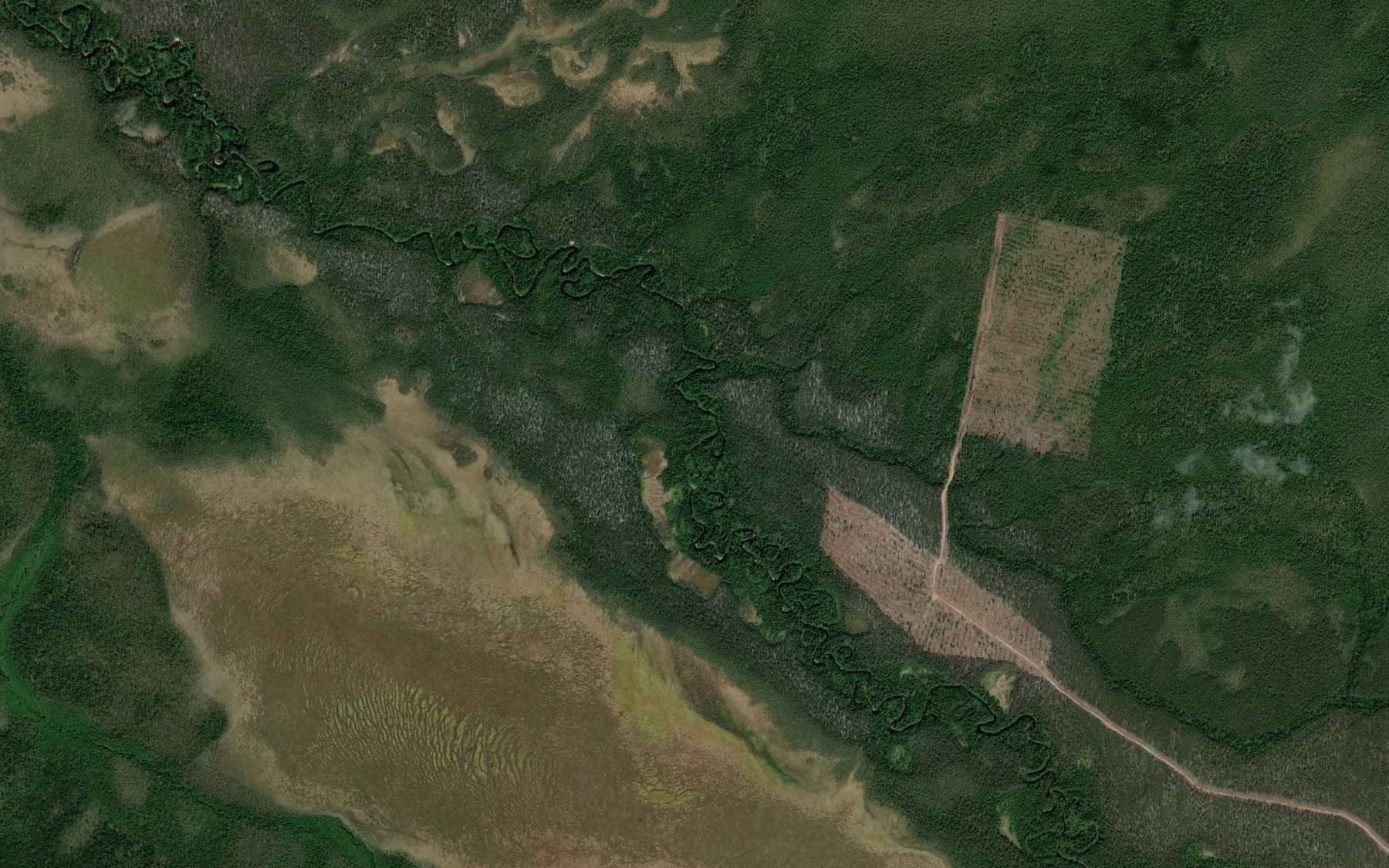 Satellite map of the Kuz"el'