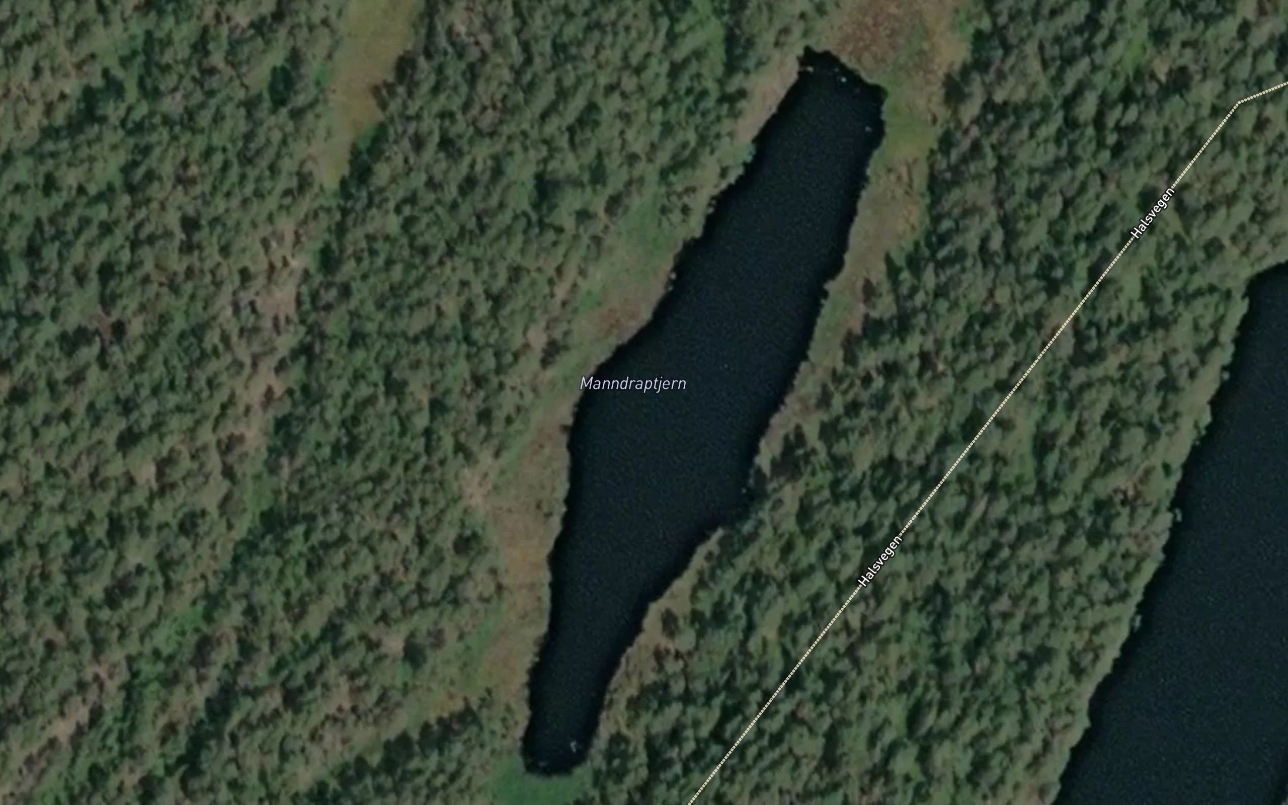 Manndraptjern