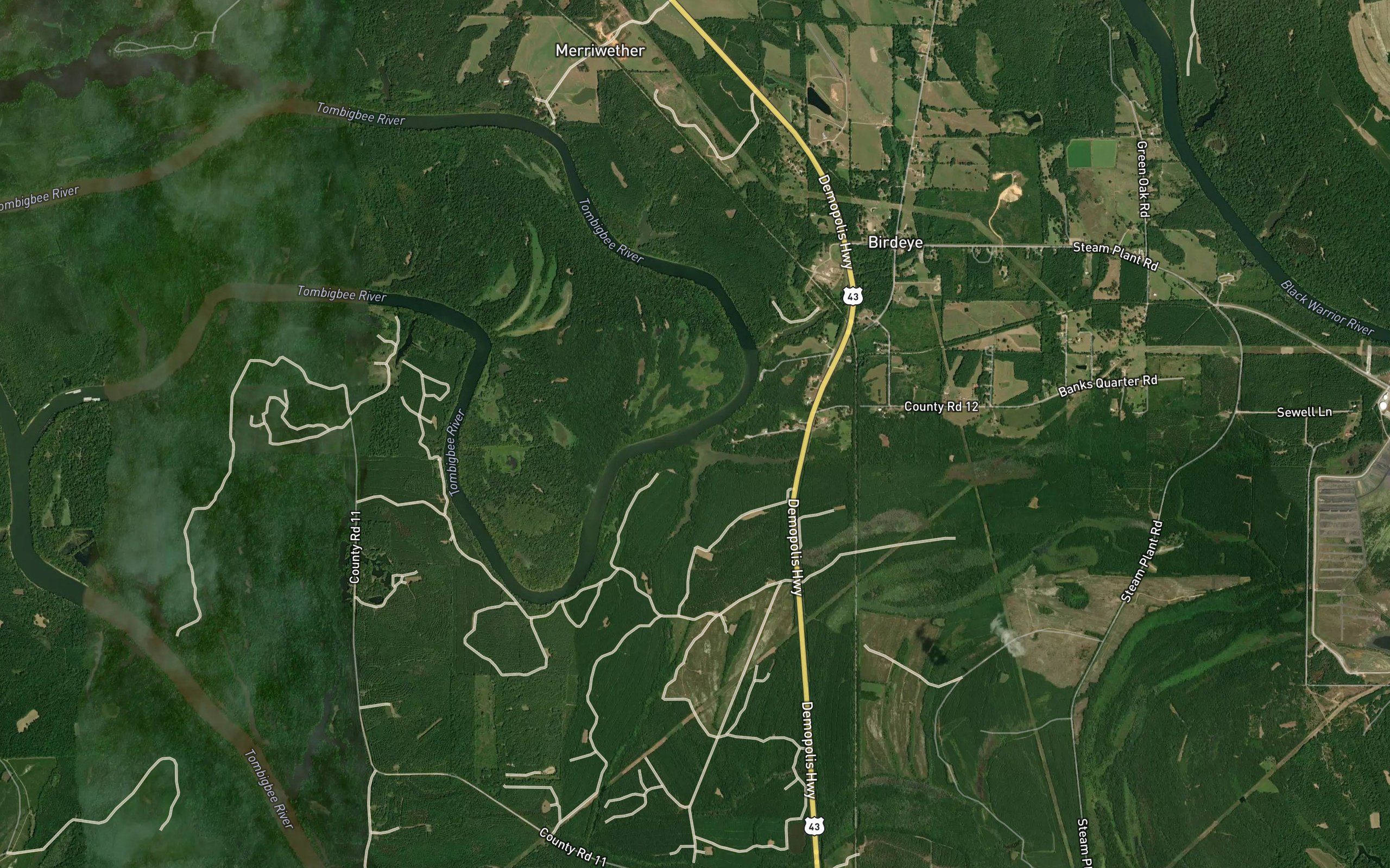 Birdine Creek