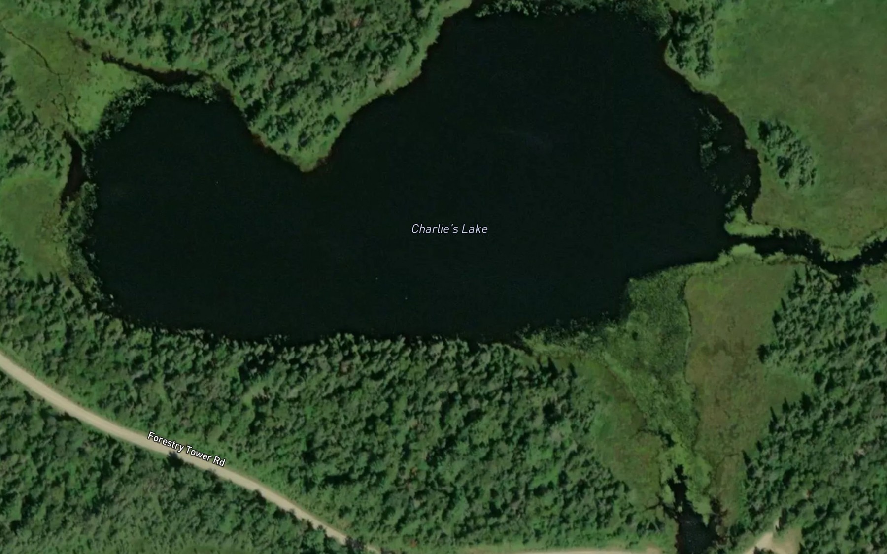 Satellite map of the Charlie's Lake