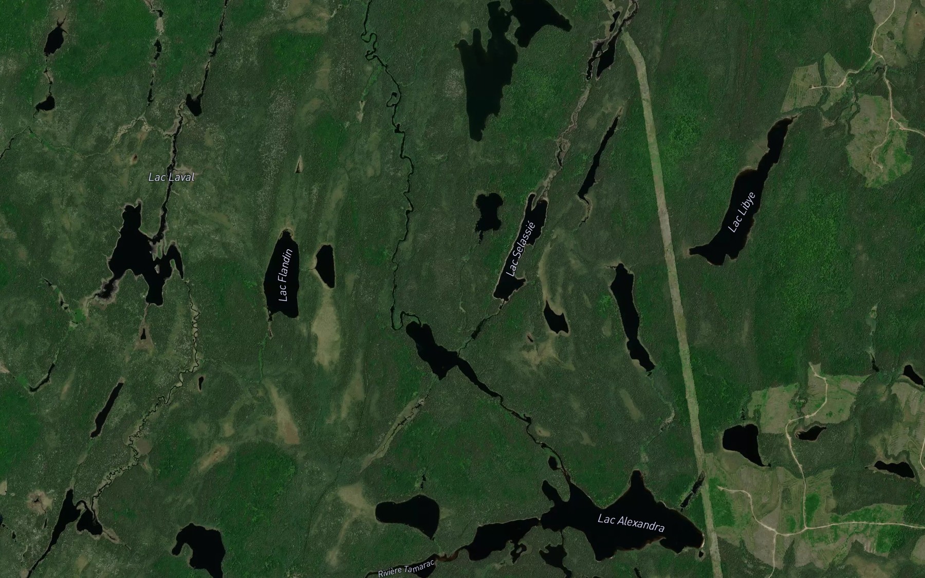 Satellite map of the Lac Selassie