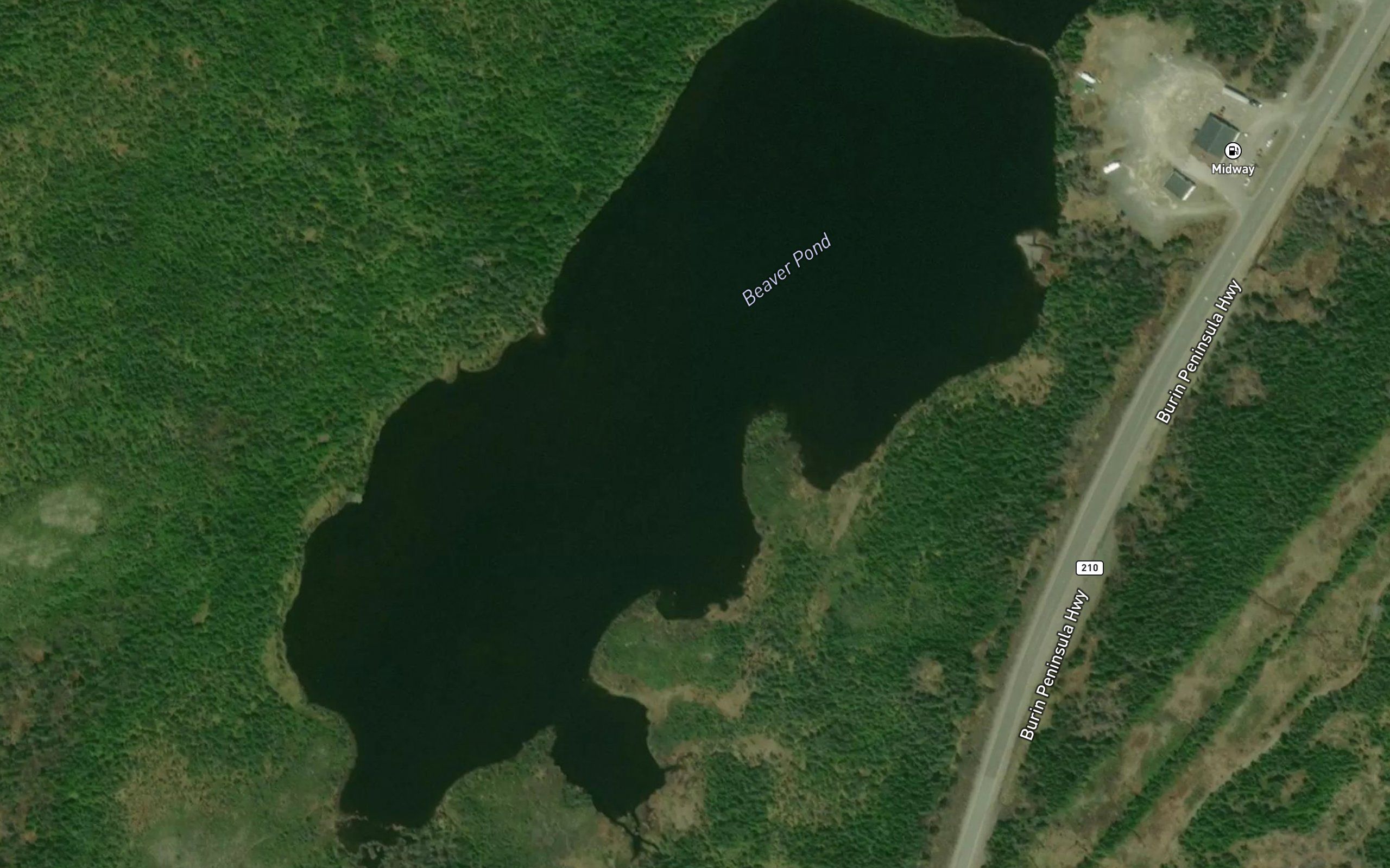 Beaver Pond
