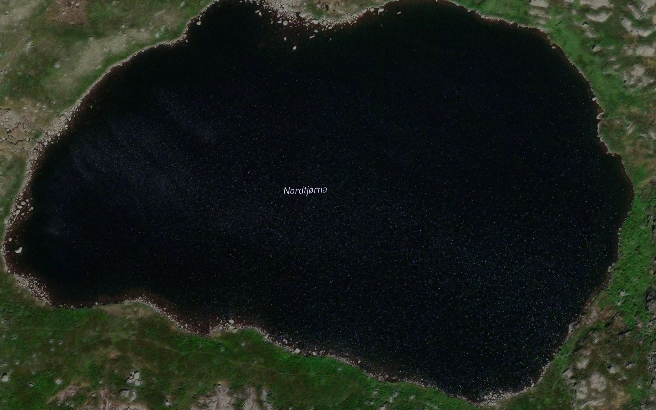 Nordtjorna
