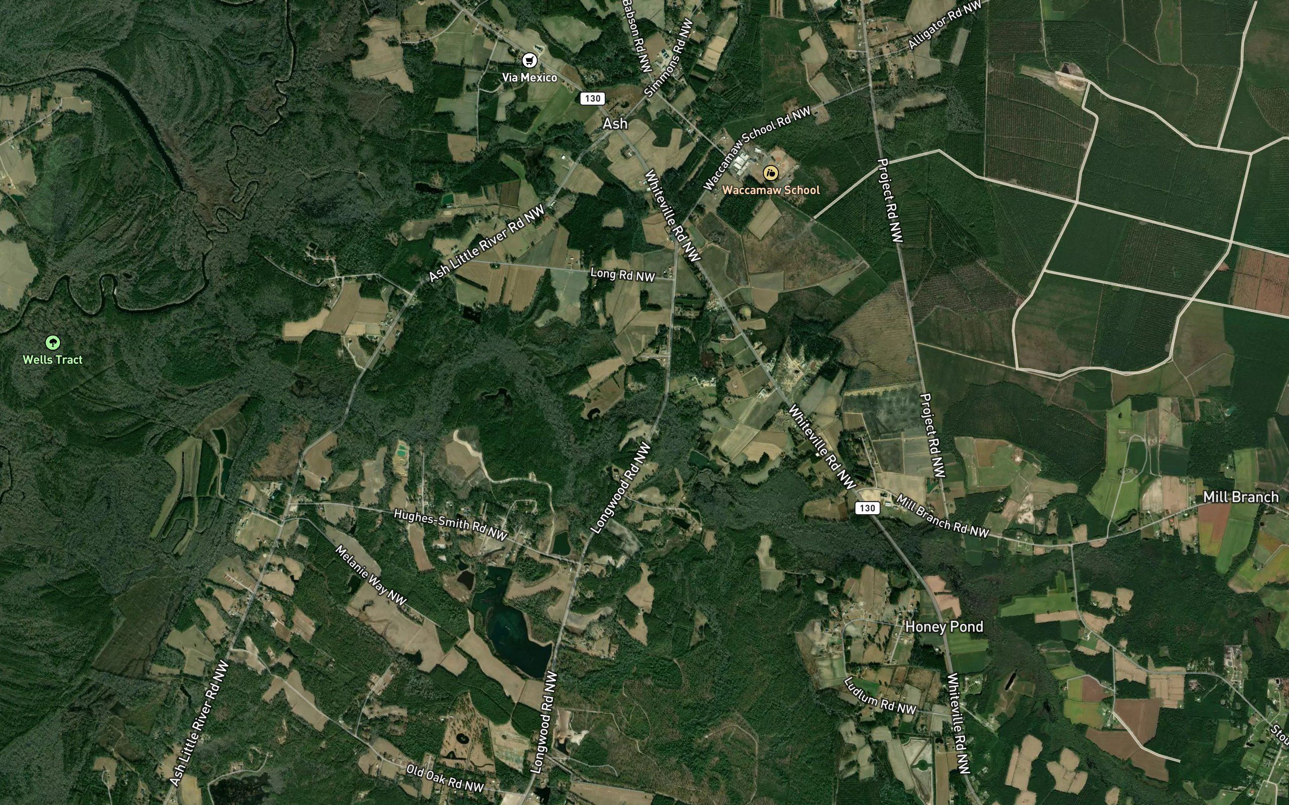 Gore Branch