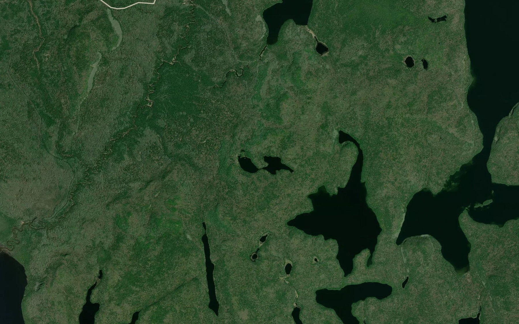 Satellite map of the Punt Lakes