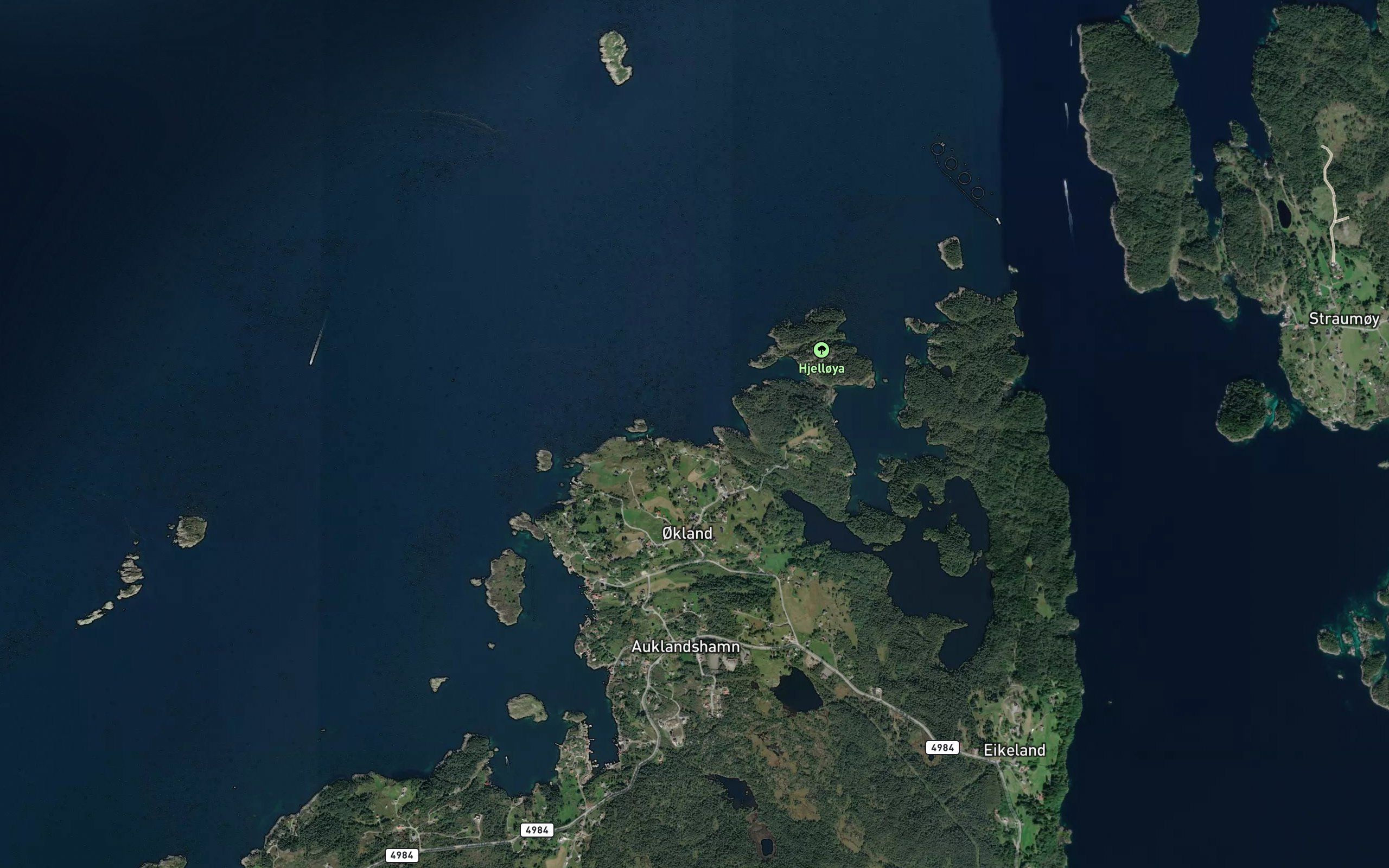 Nilsavika