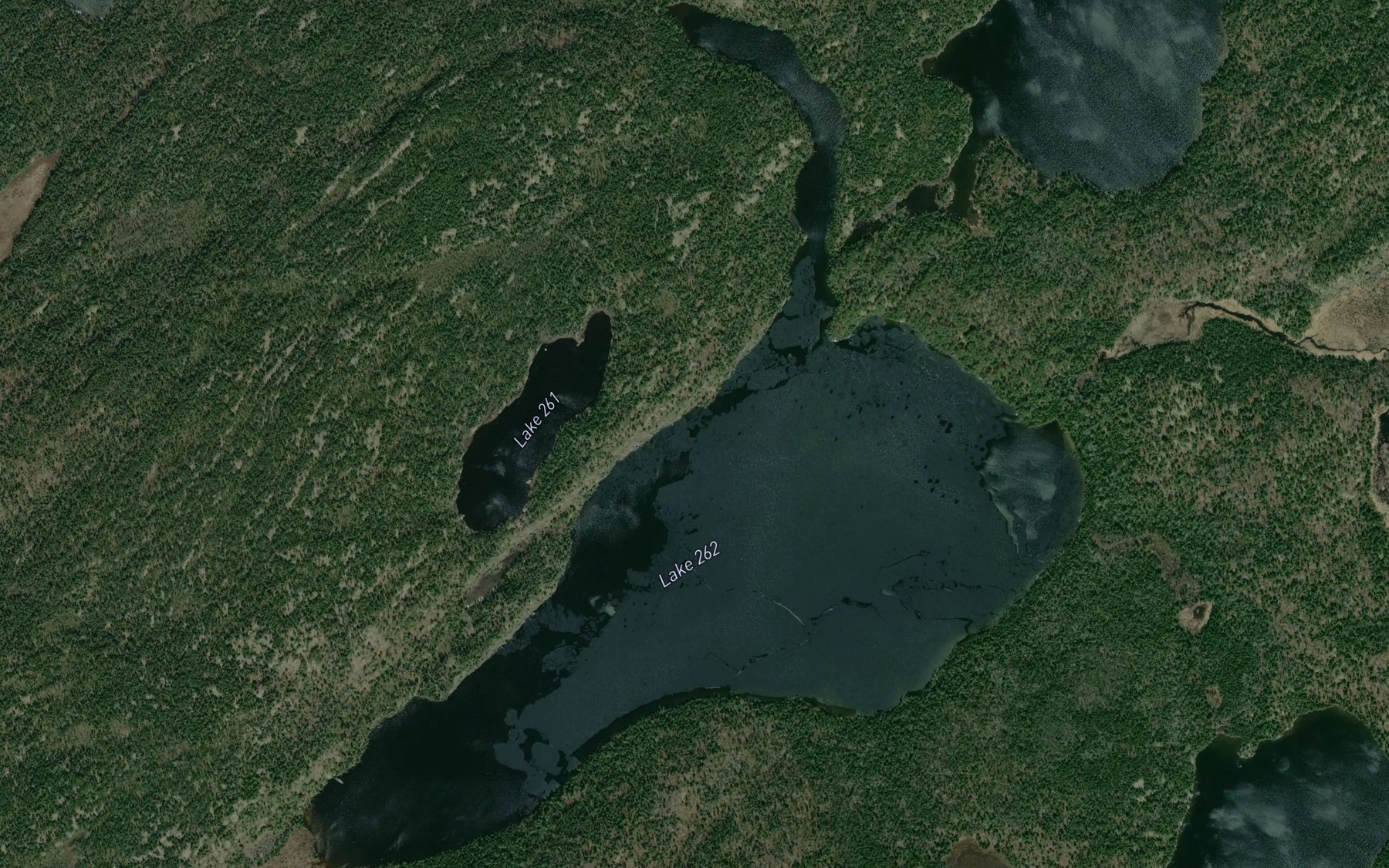 Satellite map of the Rogers Lake