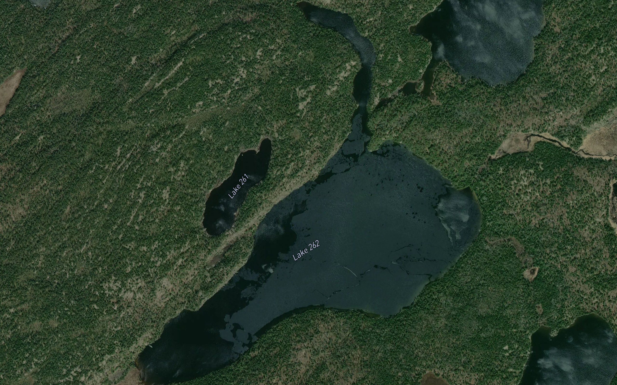 Rogers Lake